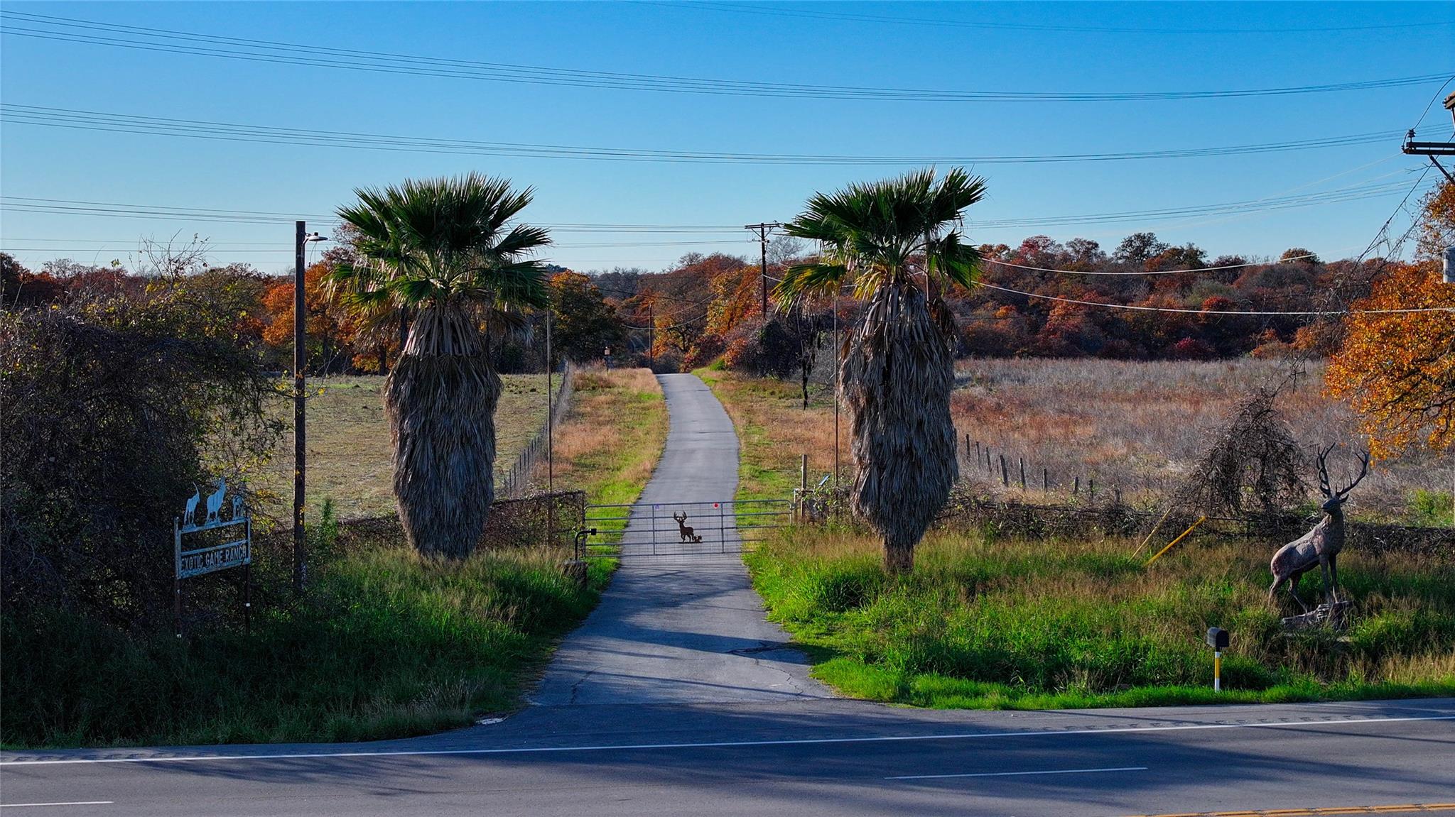 TBD Tx-123, Seguin, TX 78155