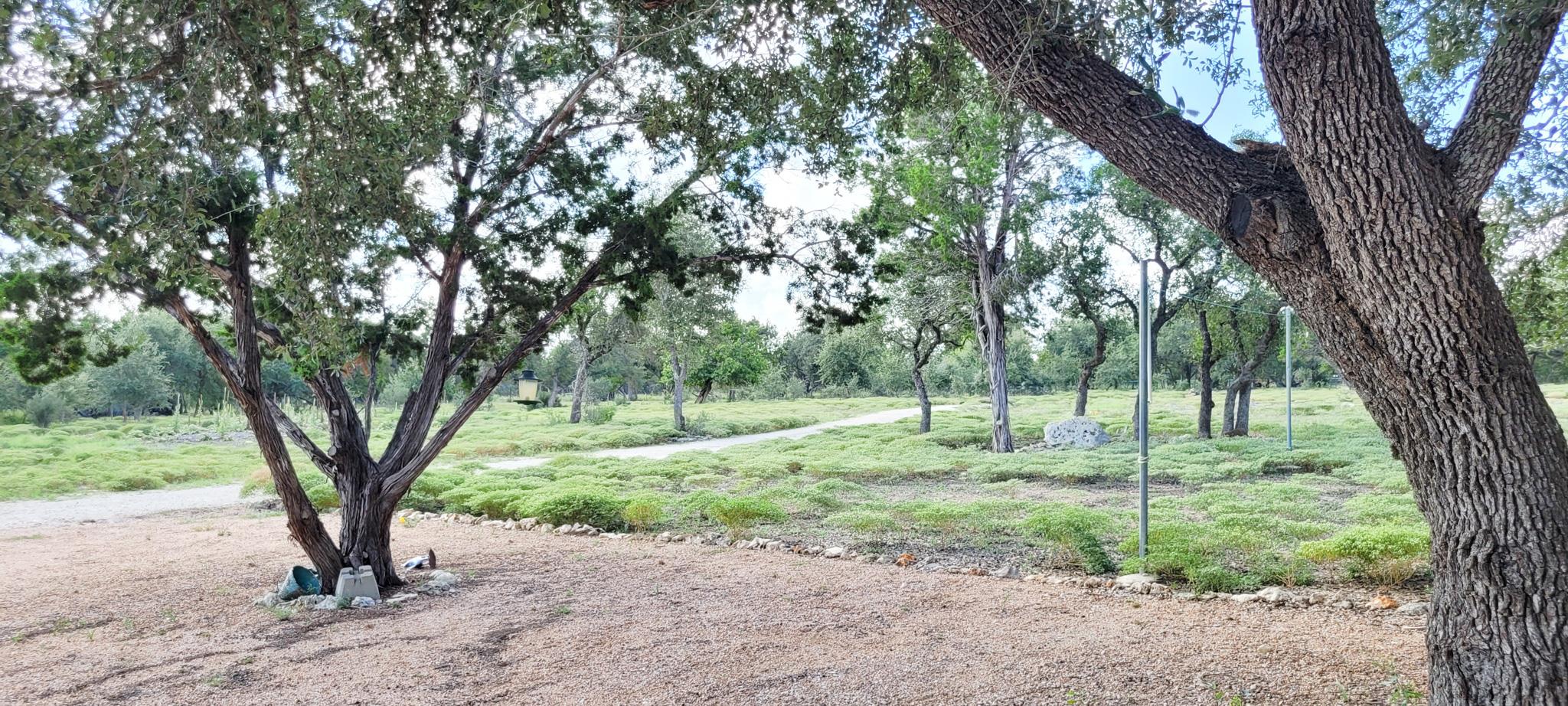 1085 Forest View Dr, Blanco, TX 78606