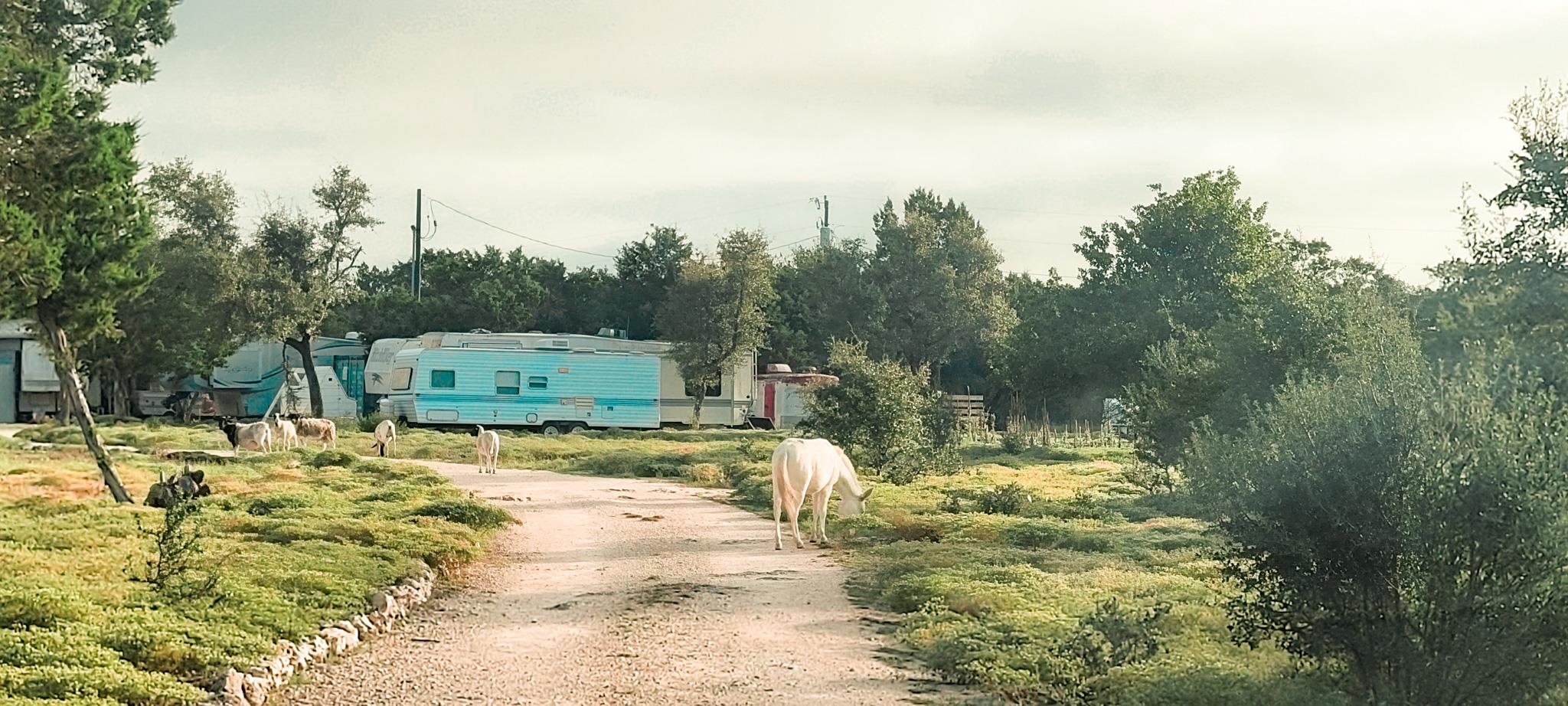 1085 Forest View Dr, Blanco, TX 78606