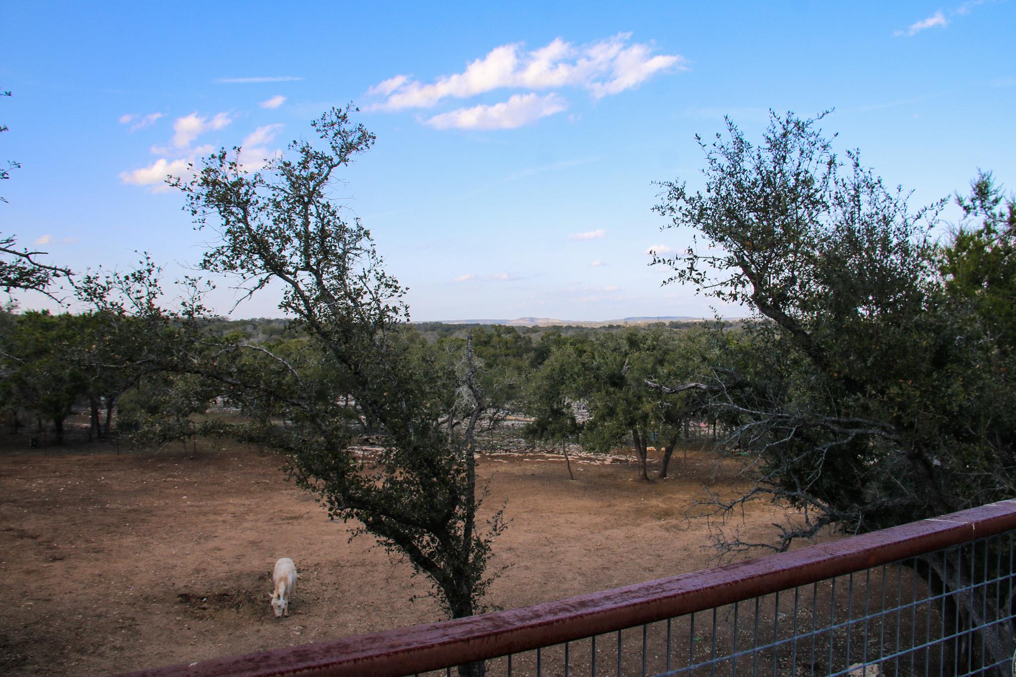 1085 Forest View Dr, Blanco, TX 78606