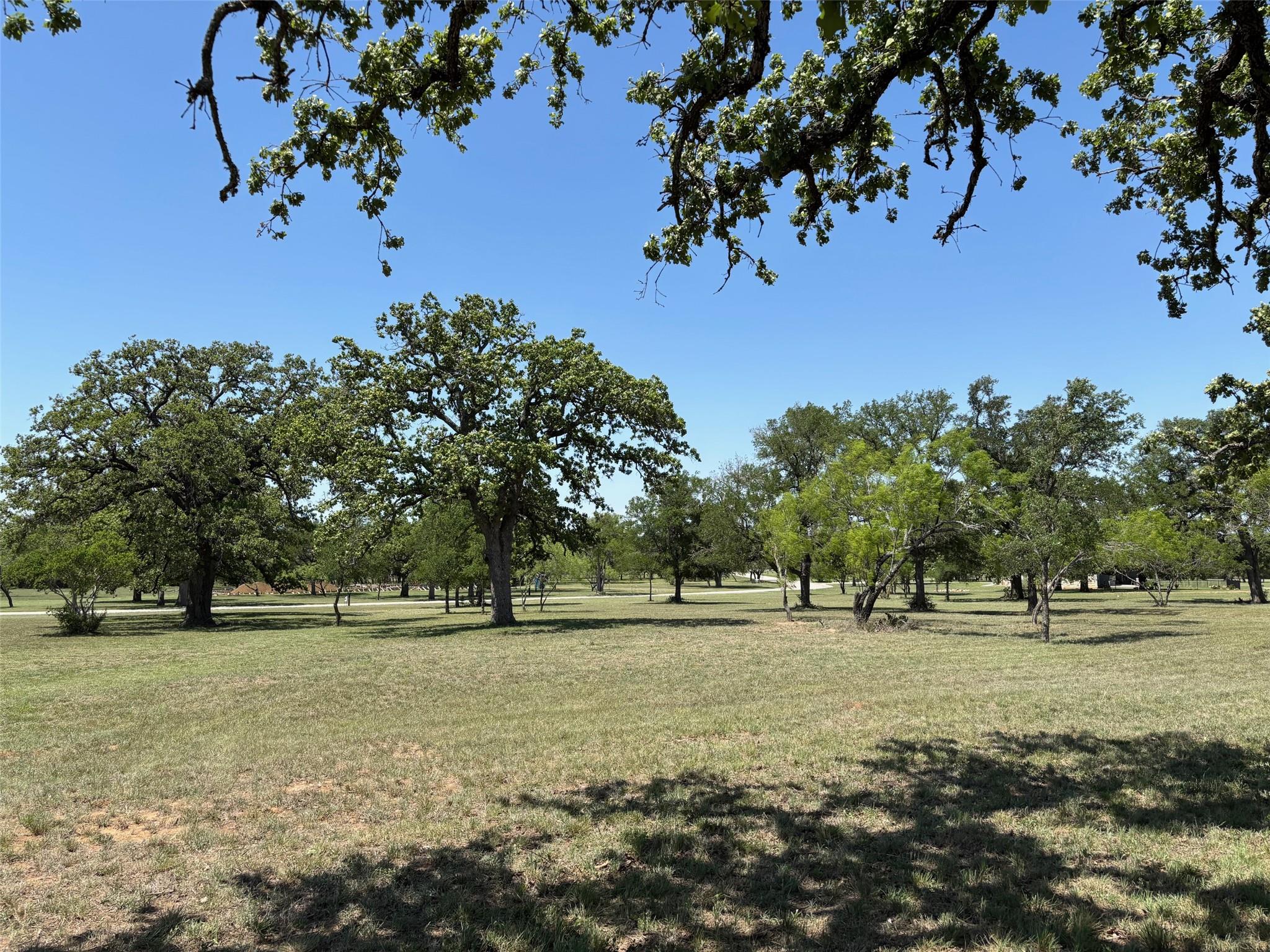 550 W Morning Dew Dr, Round Mountain, TX 78663