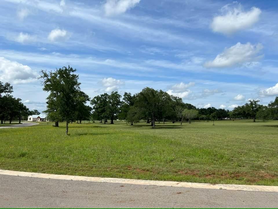 550 W Morning Dew Dr, Round Mountain, TX 78663