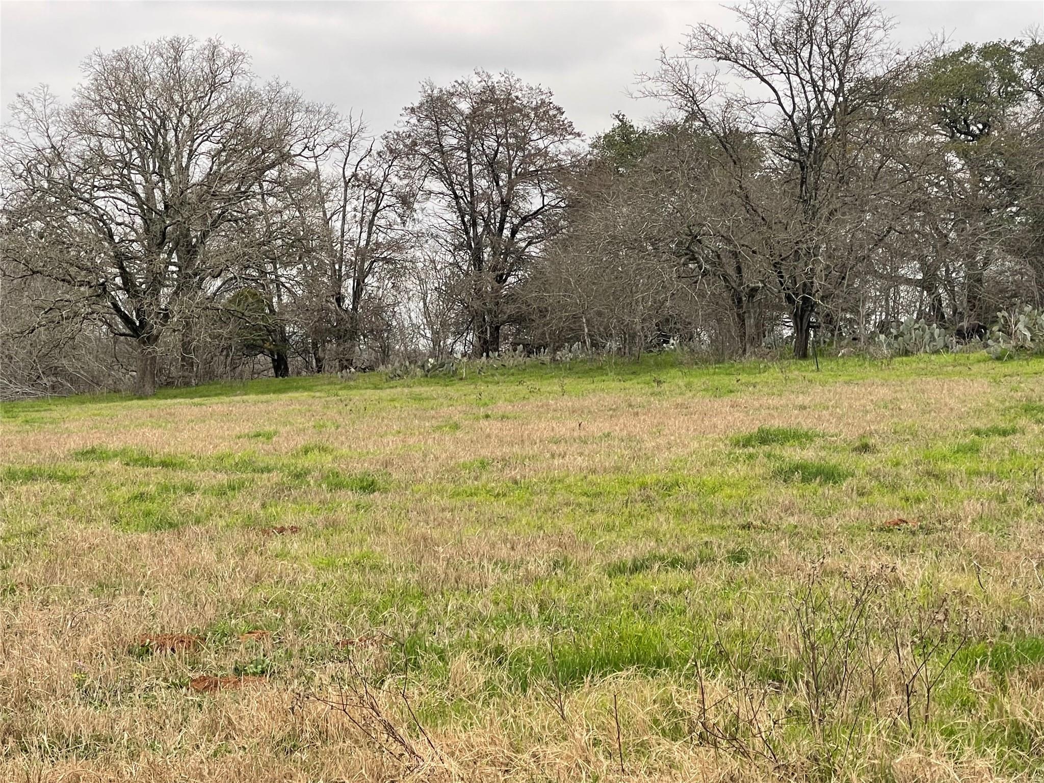 5884 Tenneycreek Rd, Luling, TX 78648