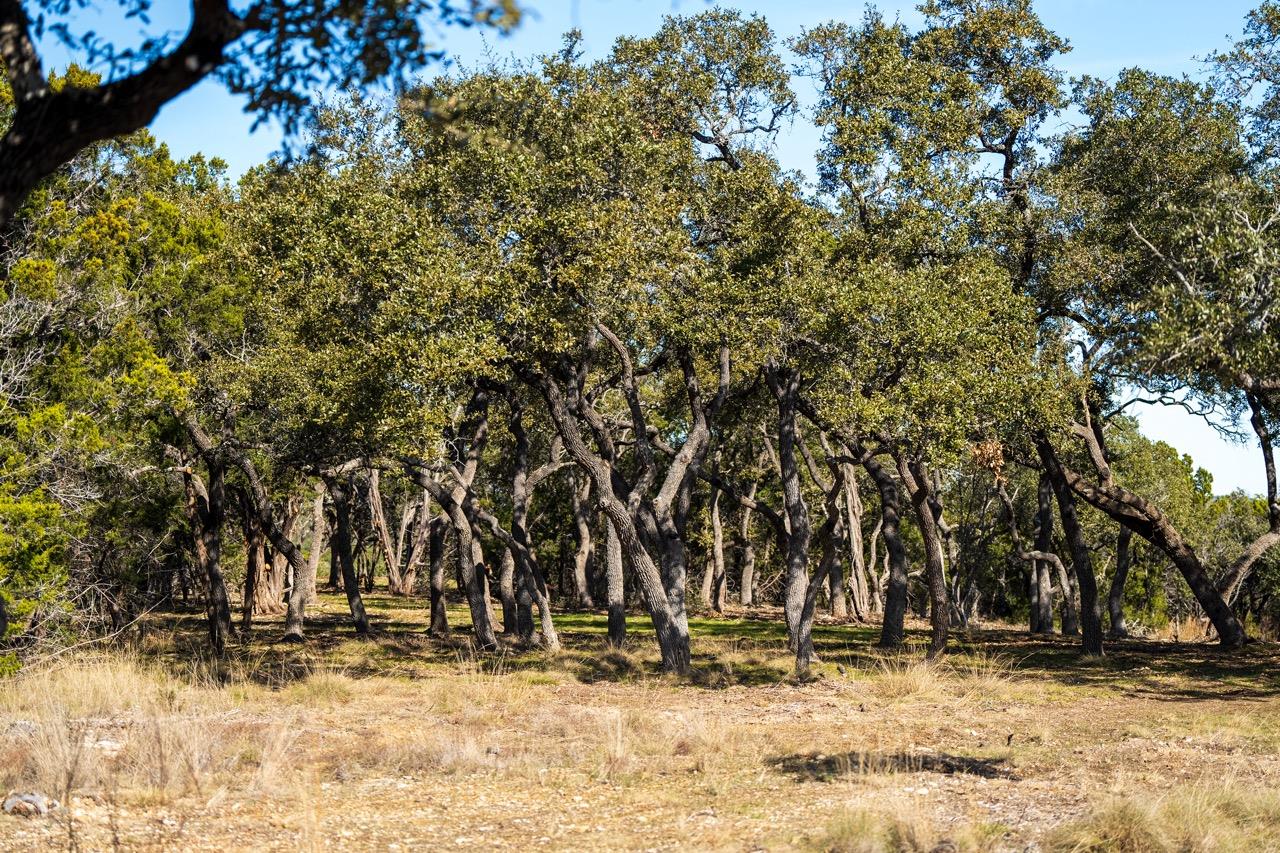 TBD - 20 Pump Station Rd, Wimberley, TX 78676