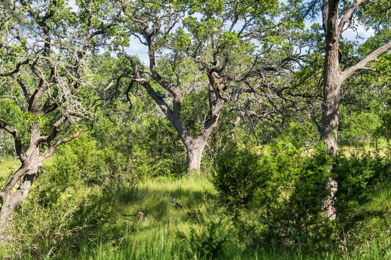 TBD - 20 Pump Station Rd, Wimberley, TX 78676