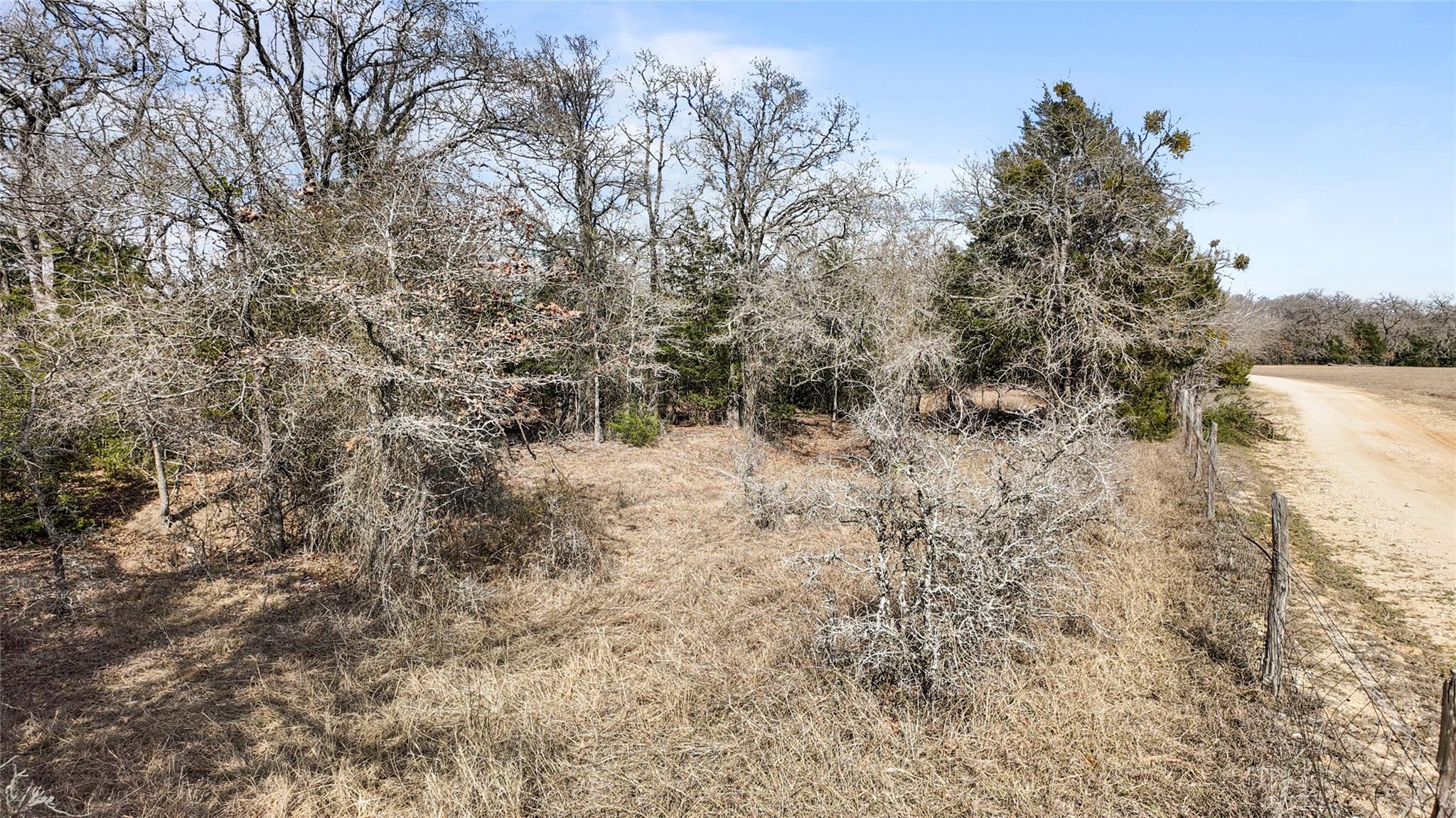 N/A County Road 481, Thrall, TX 76578