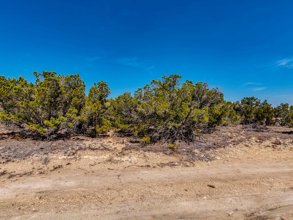29 Rolling Hills Rd, Wimberley, TX 78676