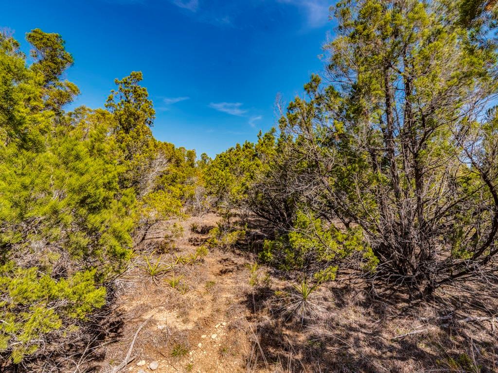 29 Rolling Hills Rd, Wimberley, TX 78676