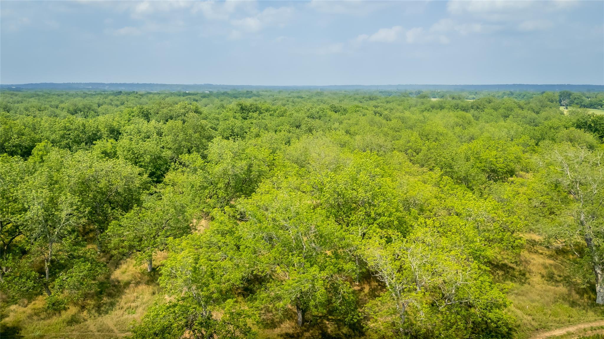 675 Ponderosa Rd # A, Bastrop, TX 78602