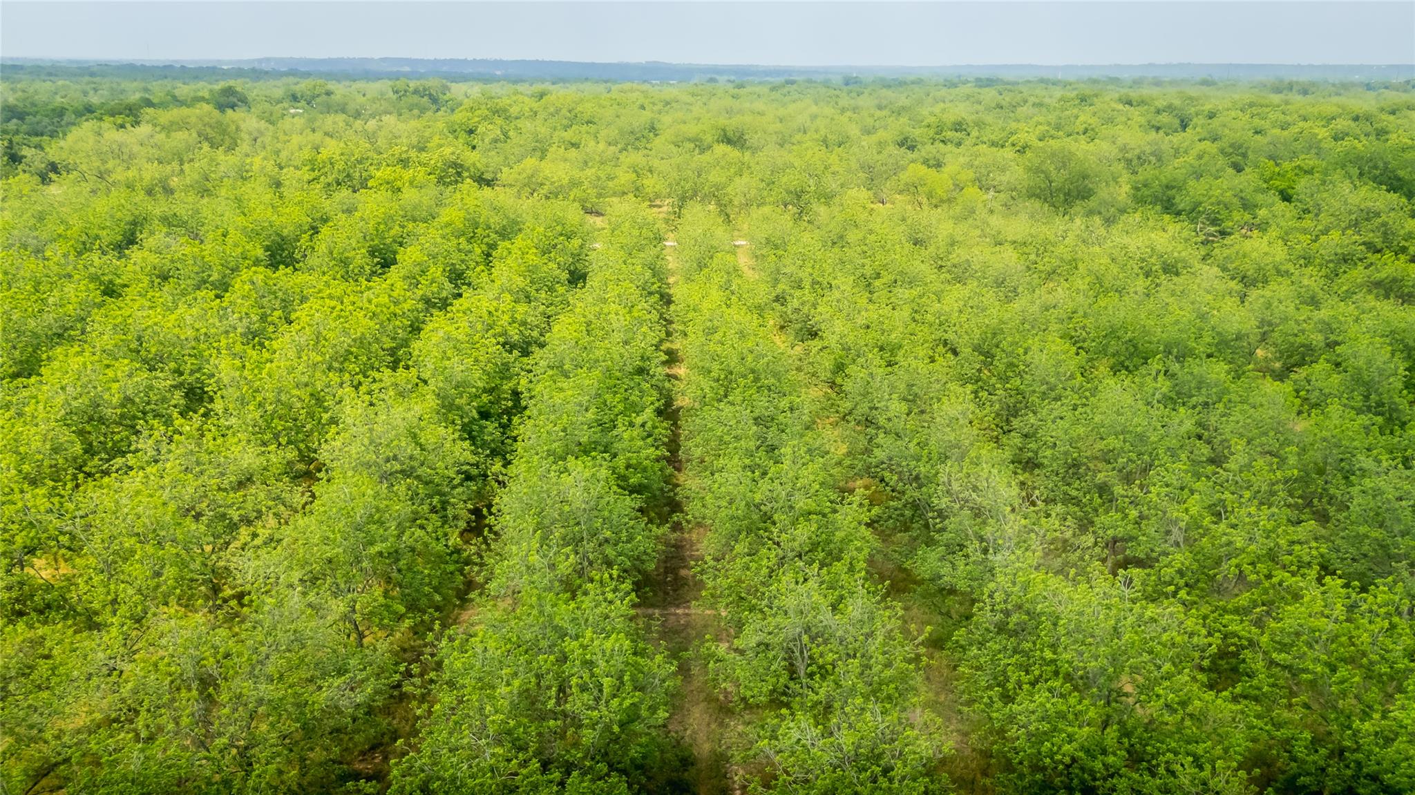 675 Ponderosa Rd # A, Bastrop, TX 78602