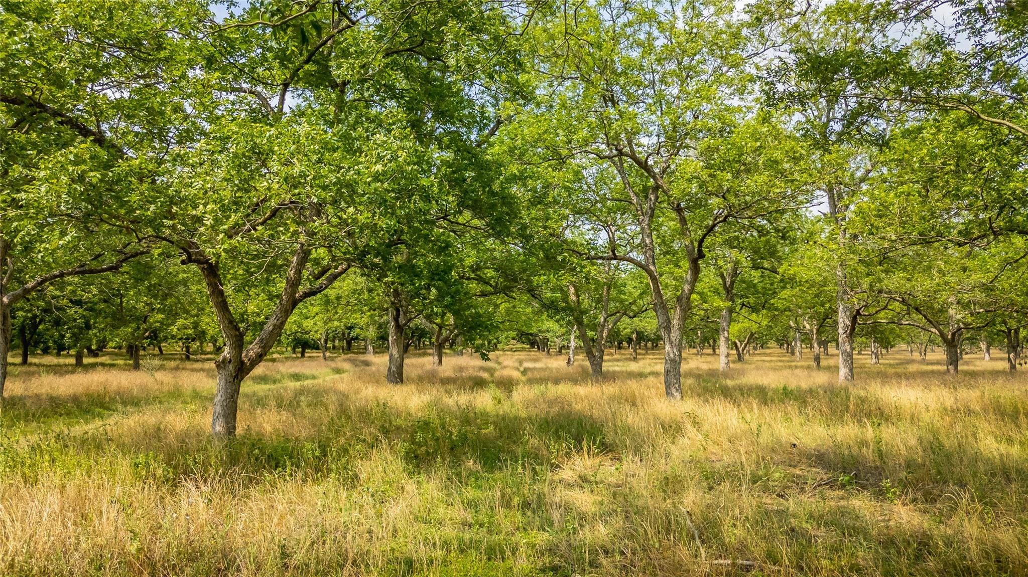 675 Ponderosa Rd # A, Bastrop, TX 78602