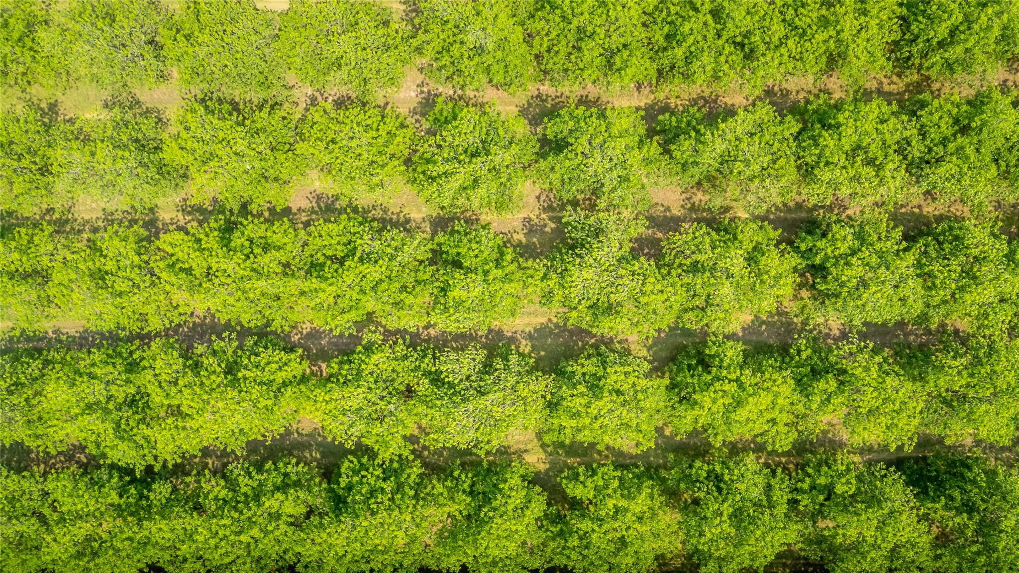 675 Ponderosa Rd # A, Bastrop, TX 78602