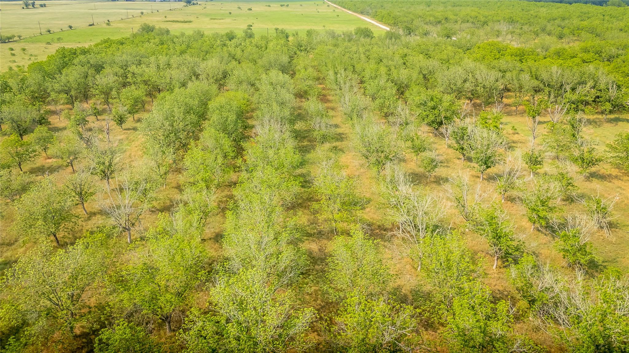 675 Ponderosa Rd # A, Bastrop, TX 78602