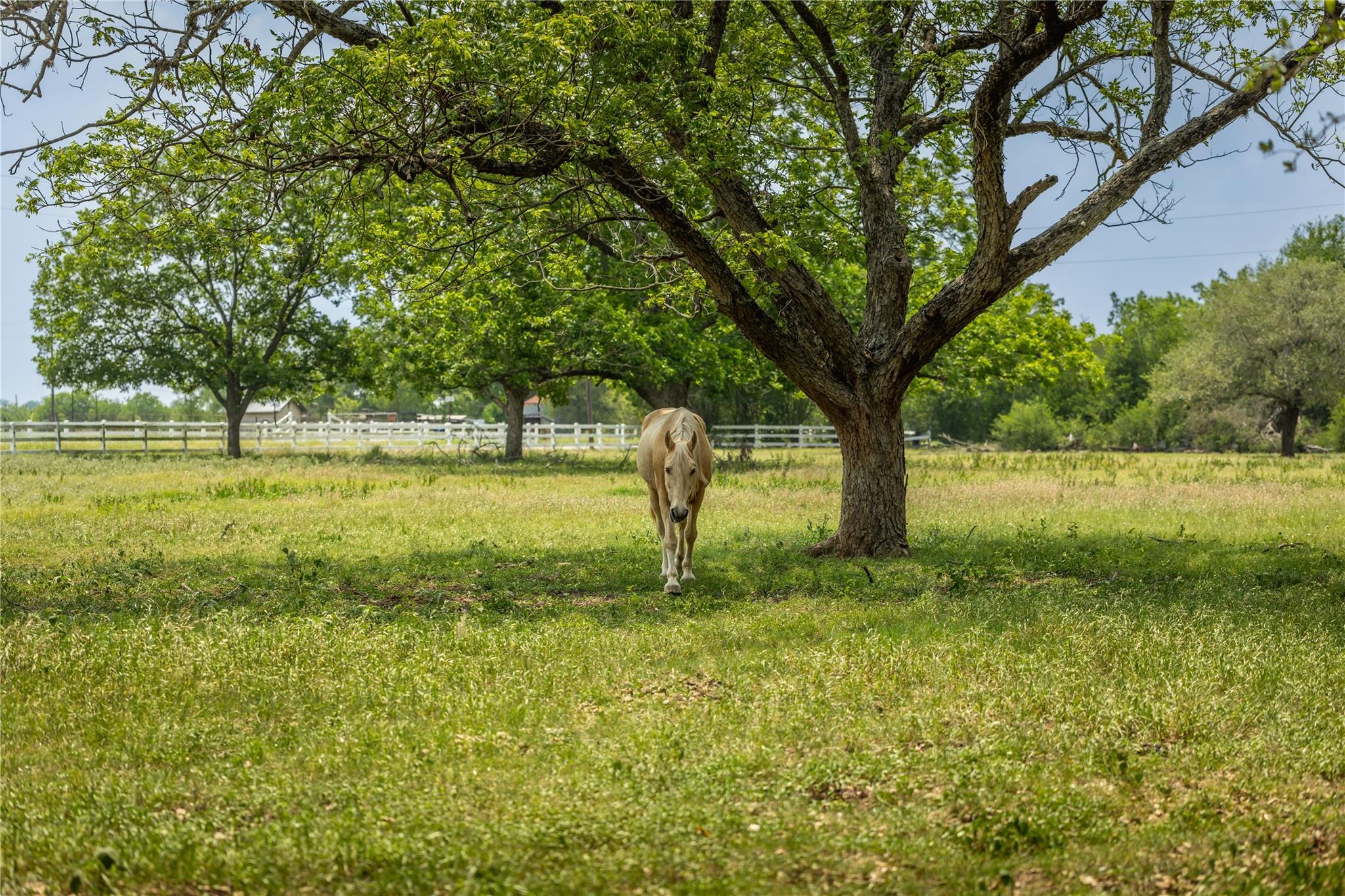 675 Ponderosa Rd # A, Bastrop, TX 78602