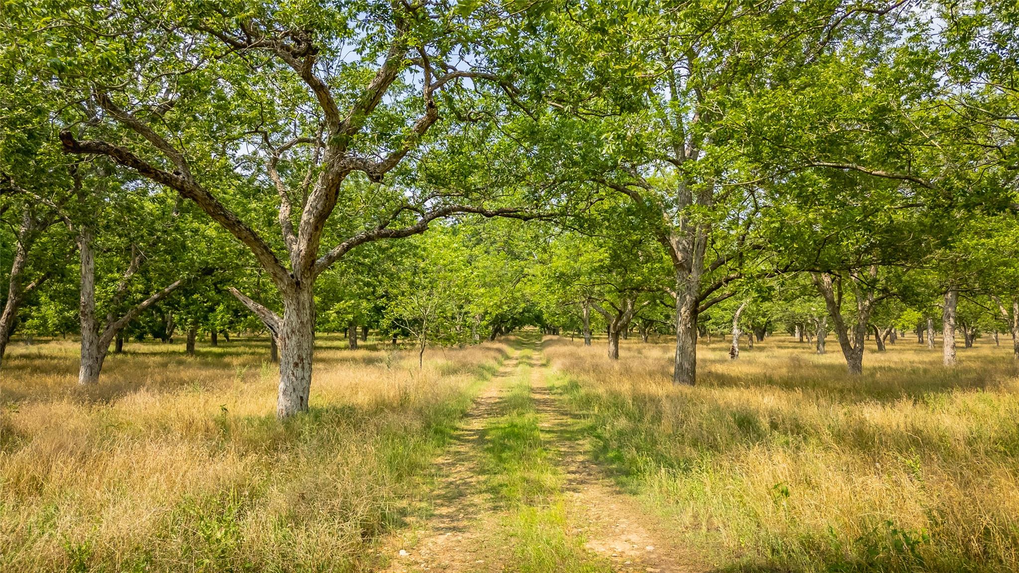 675 Ponderosa Rd # A, Bastrop, TX 78602