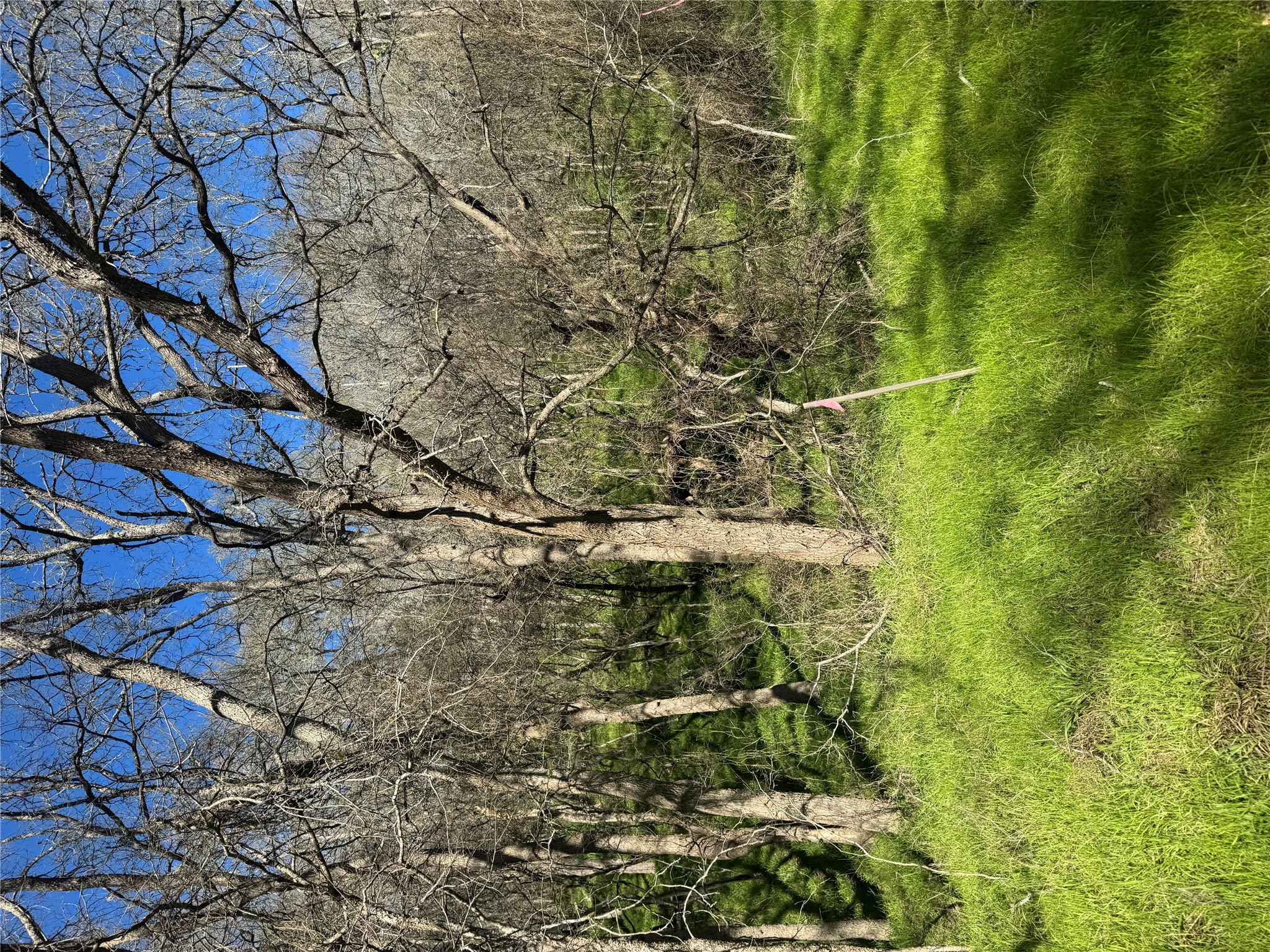 Lots 638. 639. 640 Kaukonahua Ln, Bastrop, TX 78602