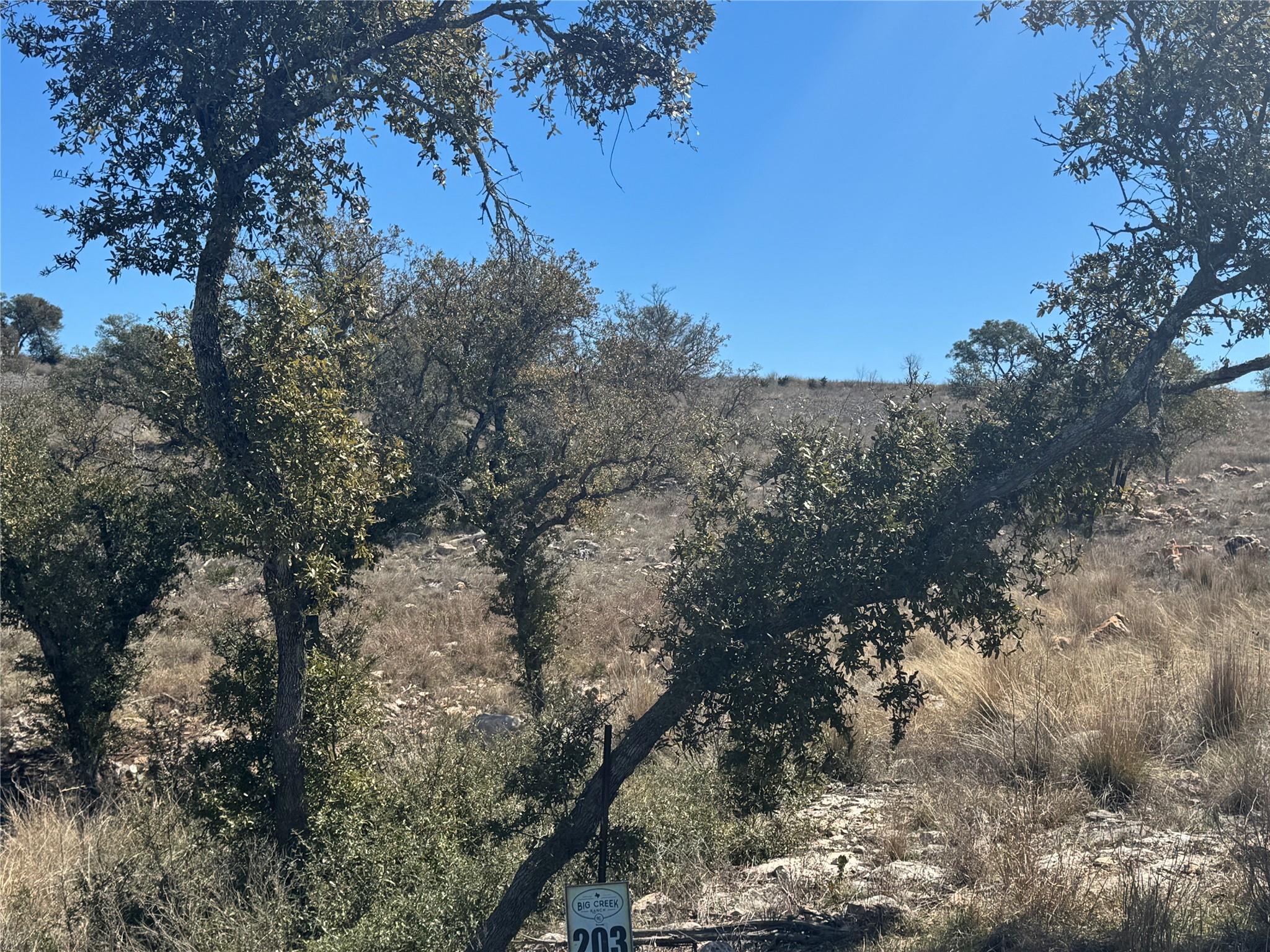 Lot 203 Westridge Way, Big Creek Ranch, Kingsland, TX 78639