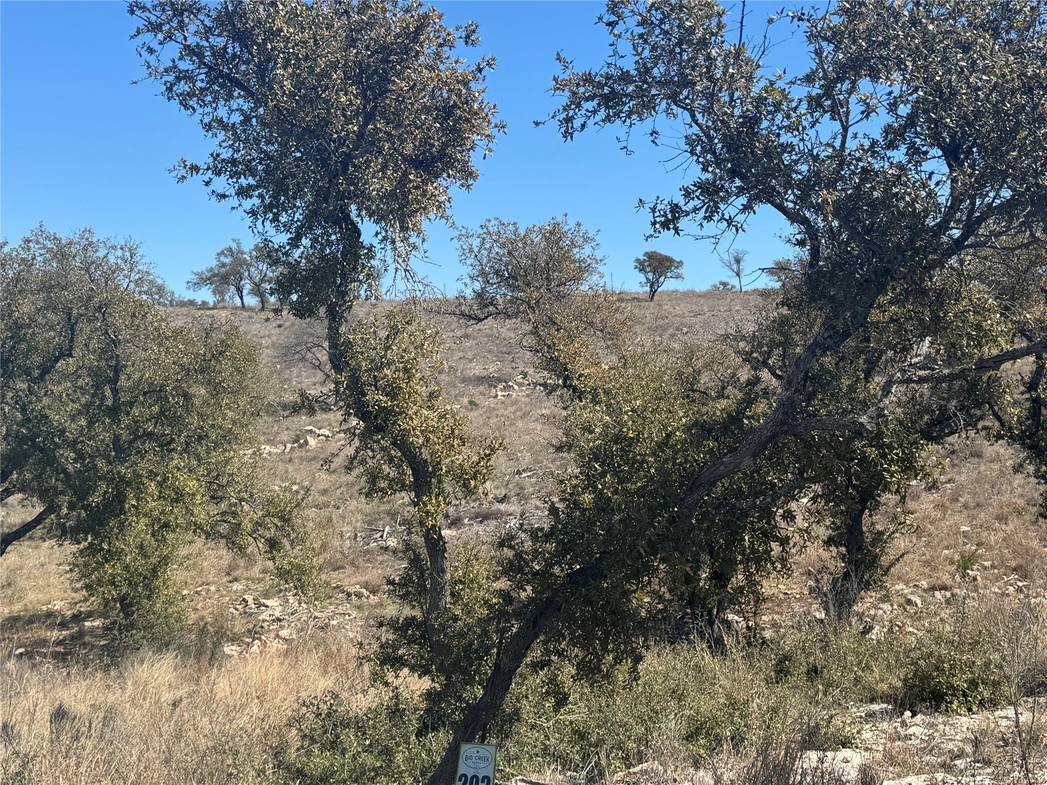 Lot 203 Westridge Way, Big Creek Ranch, Kingsland, TX 78639