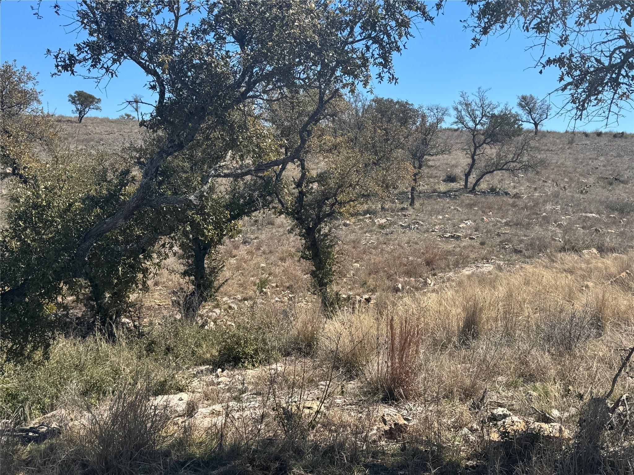 Lot 203 Westridge Way, Big Creek Ranch, Kingsland, TX 78639