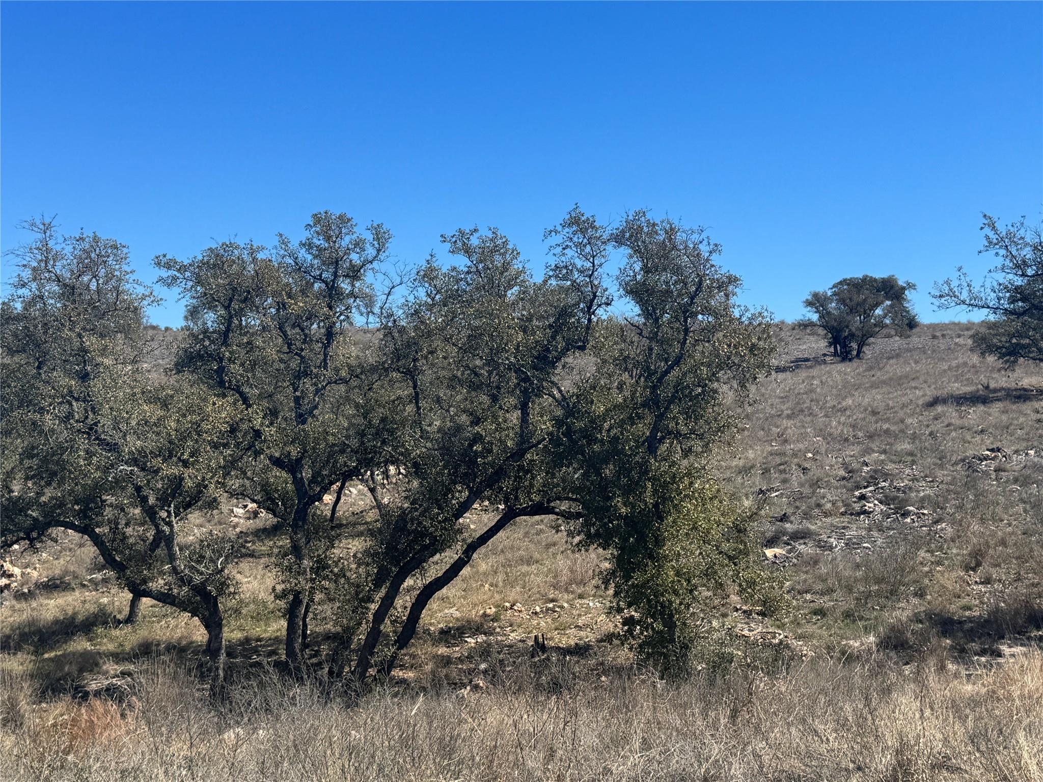 Lot 203 Westridge Way, Big Creek Ranch, Kingsland, TX 78639