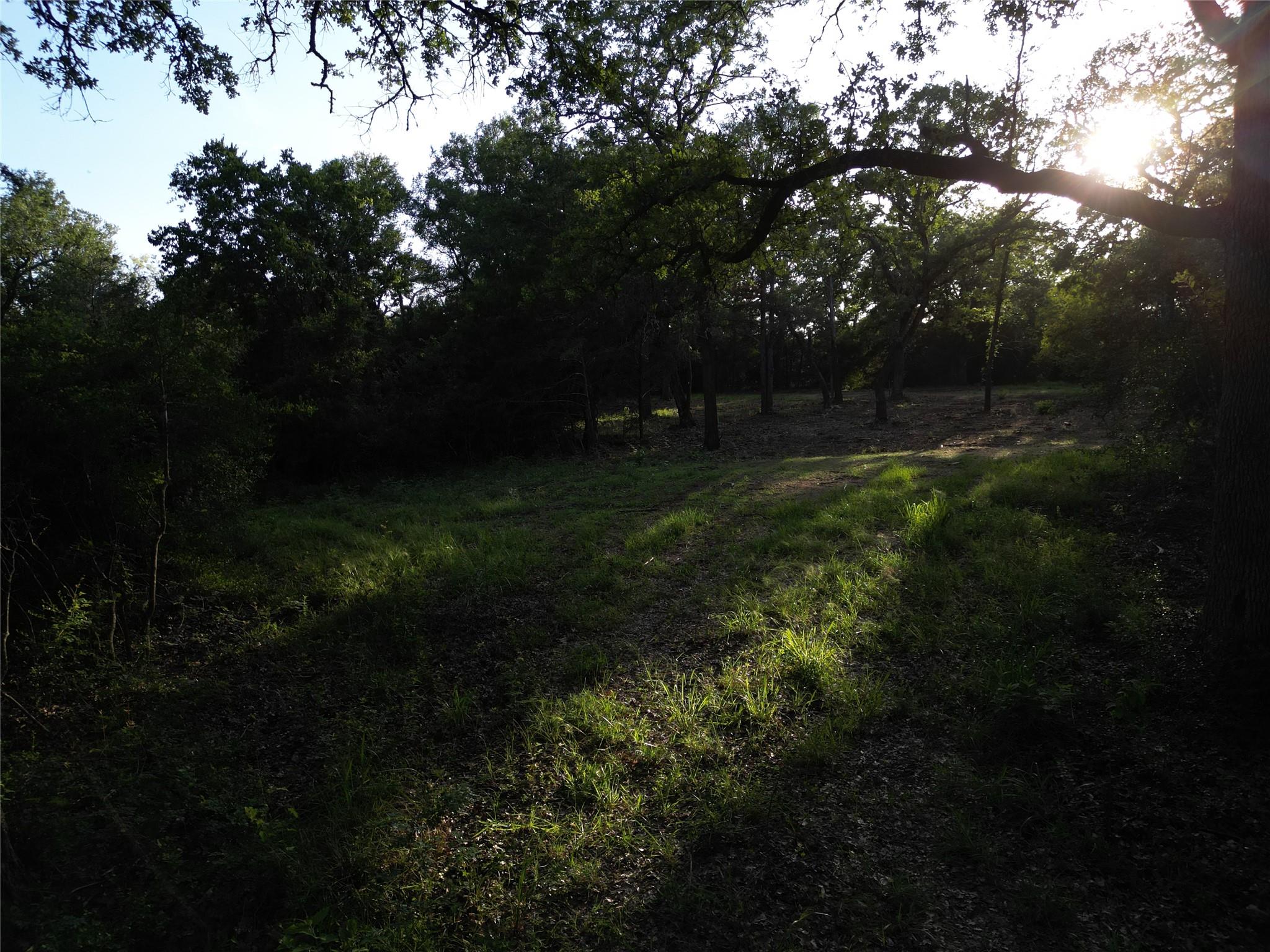 TBD Lot 4C Angle Rd, Smithville, TX 78957
