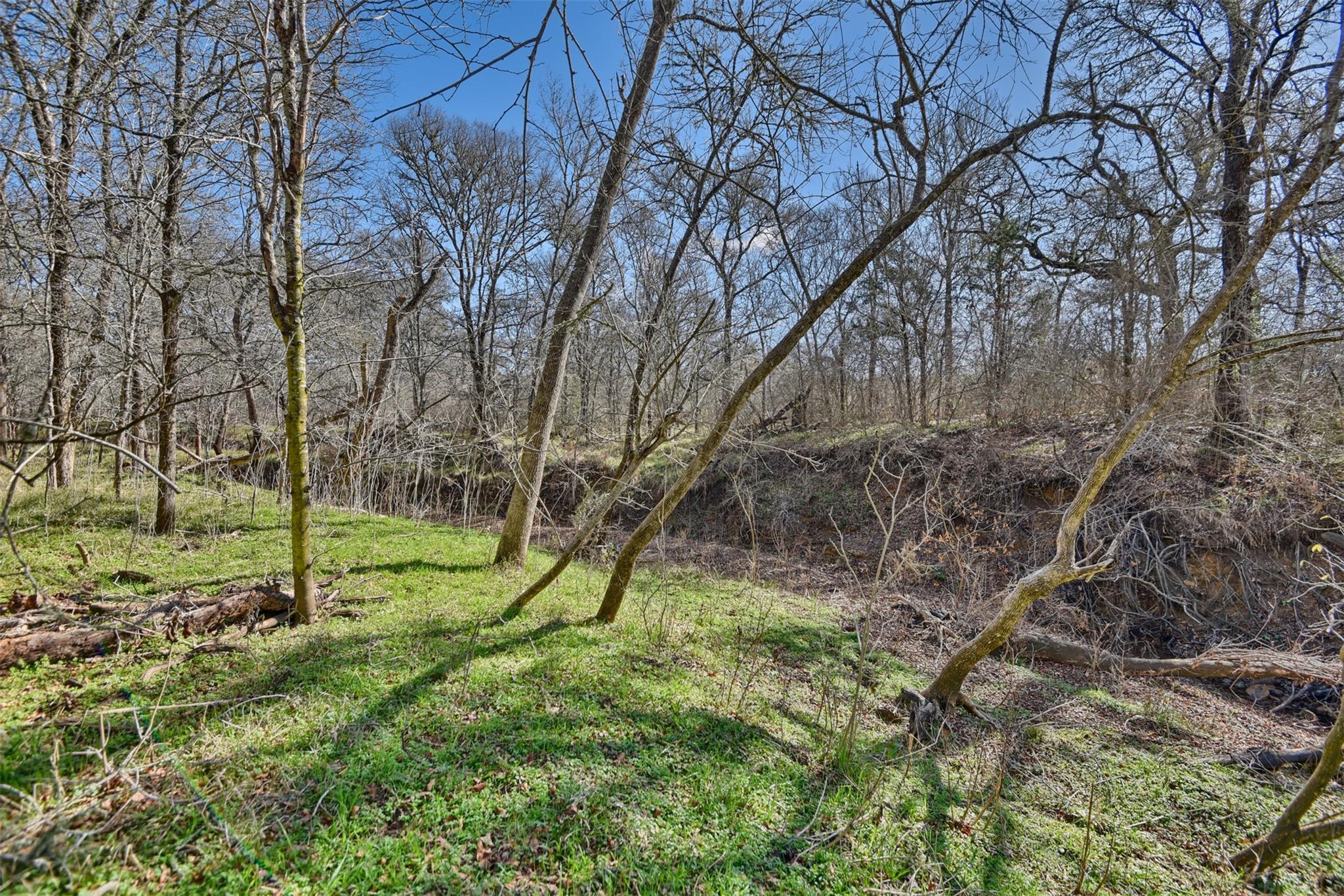 TBD Sunshine Ln, Smithville, TX 78957