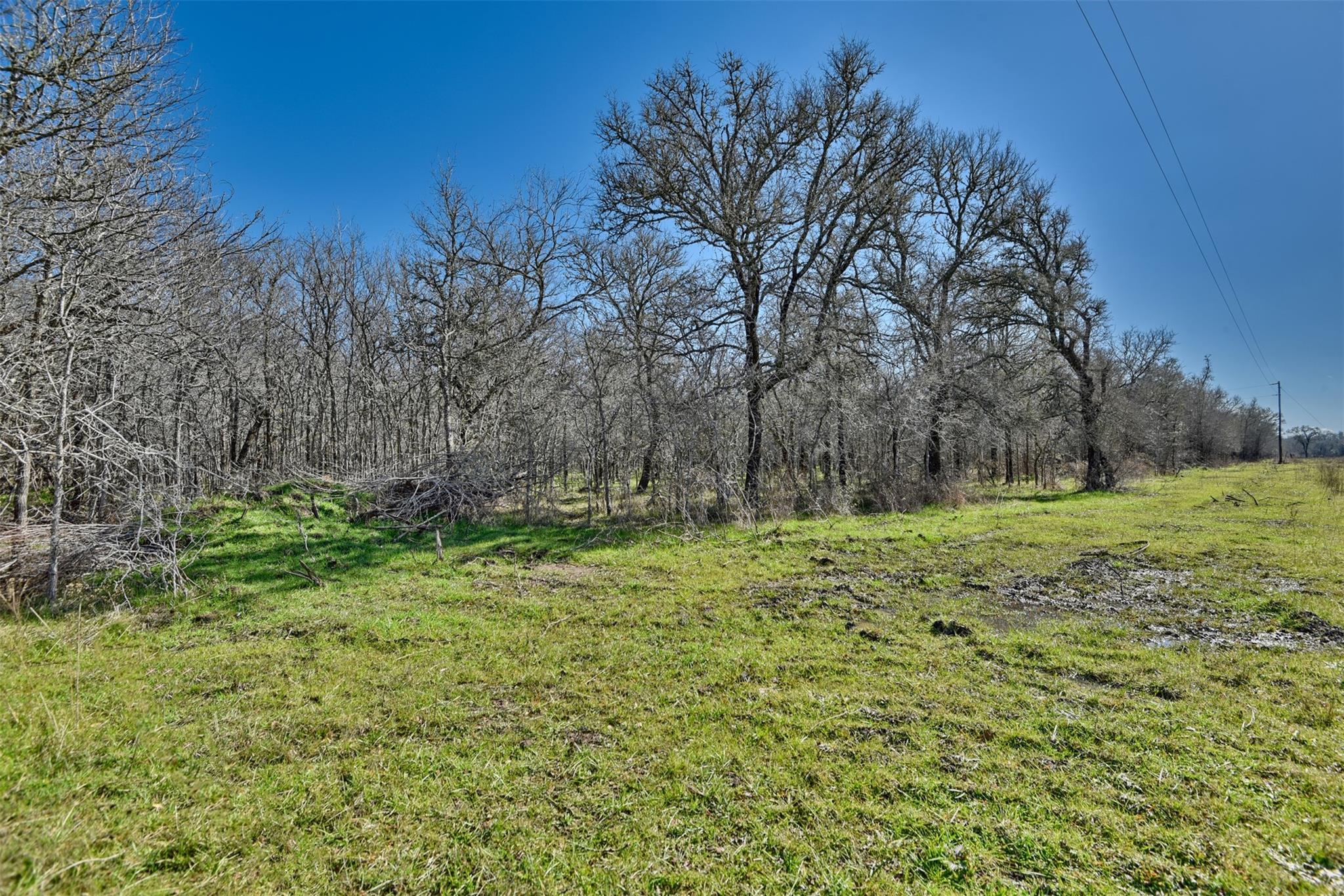TBD Sunshine Ln, Smithville, TX 78957
