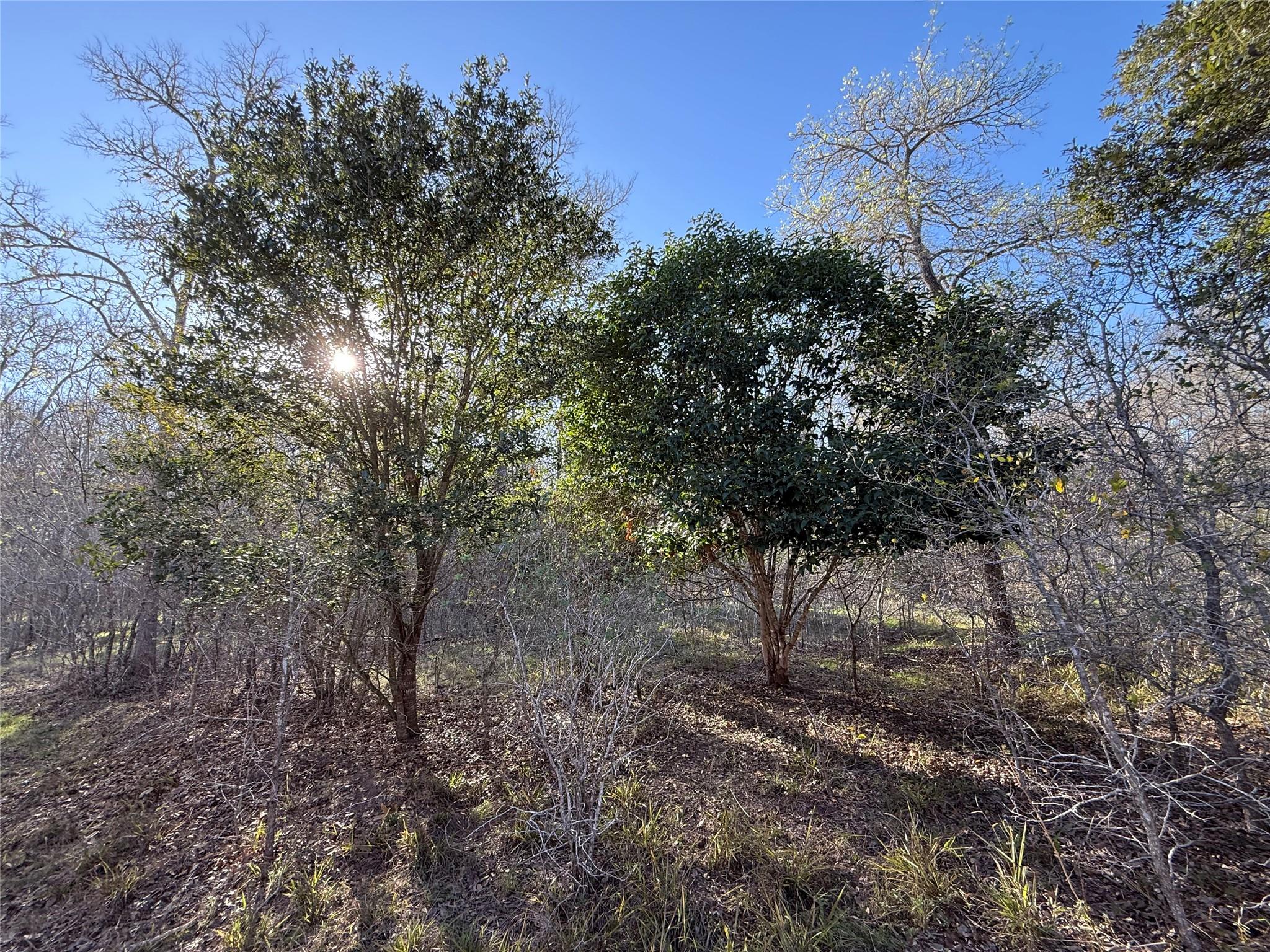 0 Country Club Dr, Seguin, TX 78155