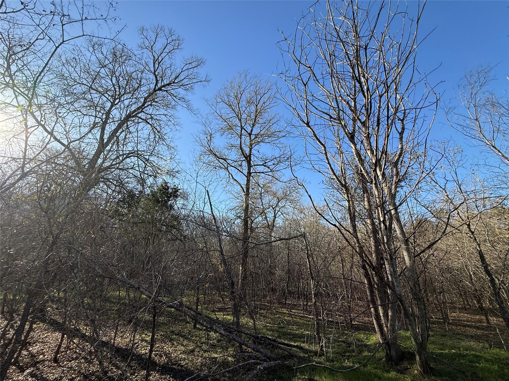 0 Country Club Dr, Seguin, TX 78155