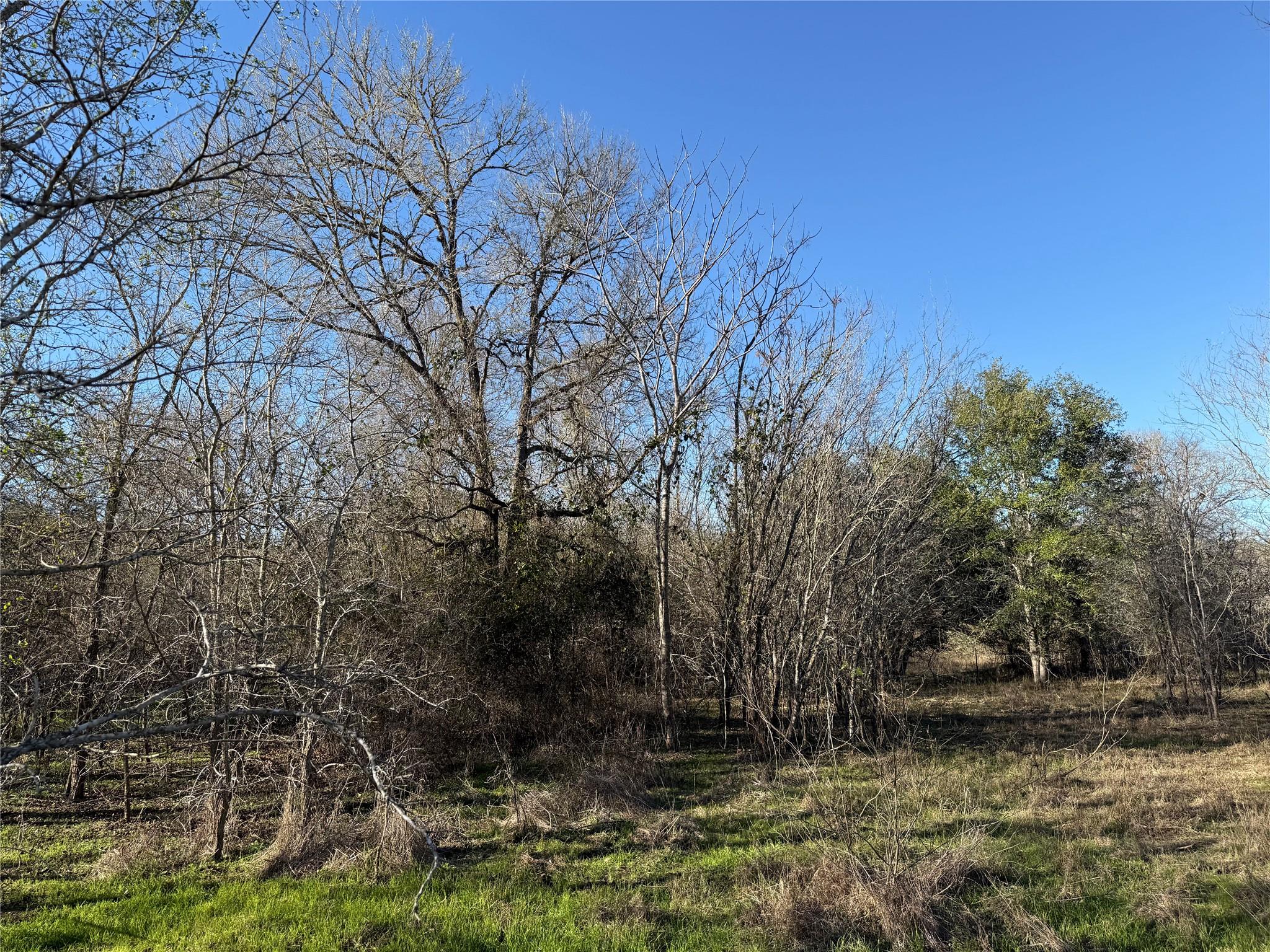 0 Country Club Dr, Seguin, TX 78155