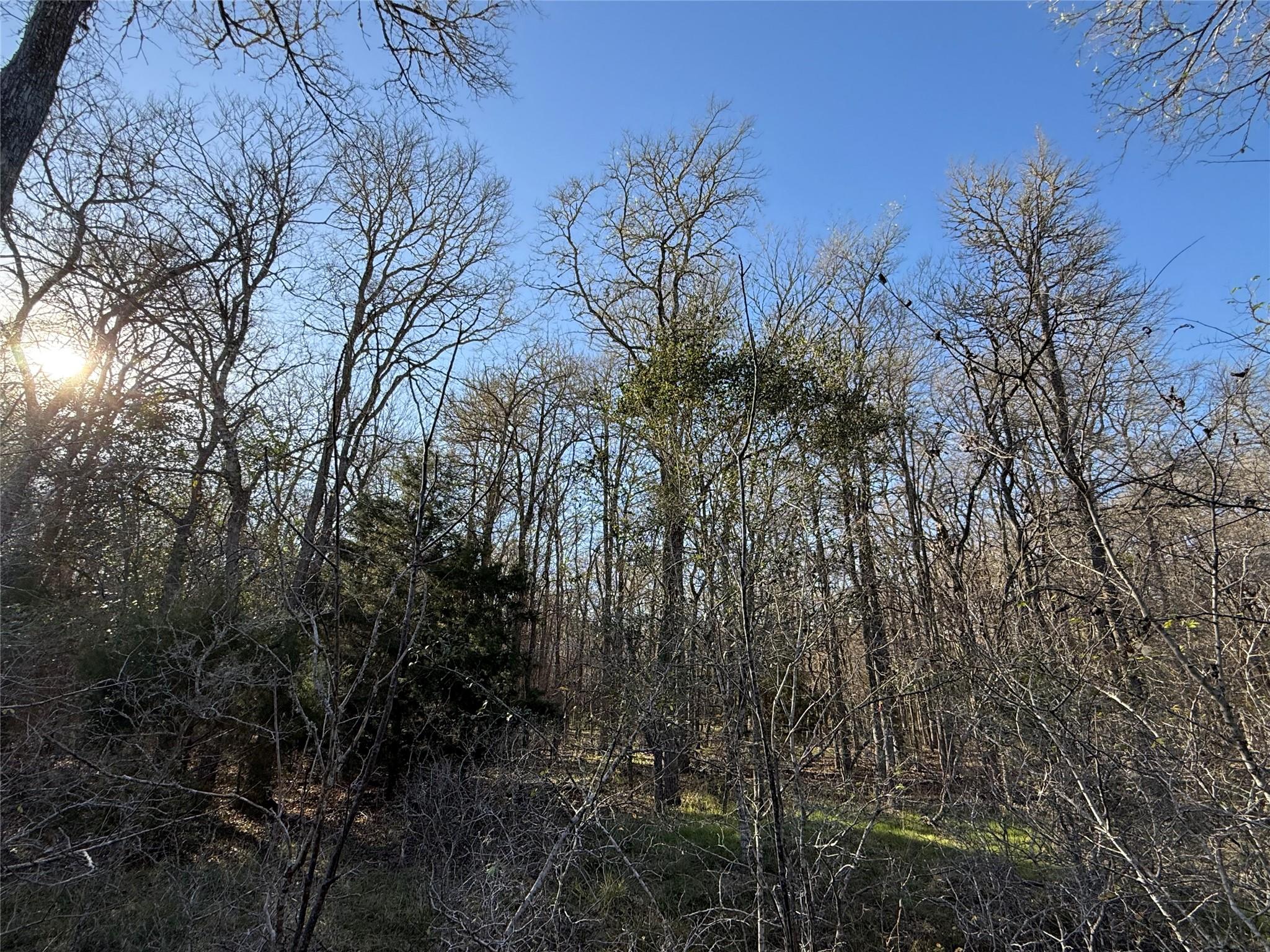 0 Country Club Dr, Seguin, TX 78155