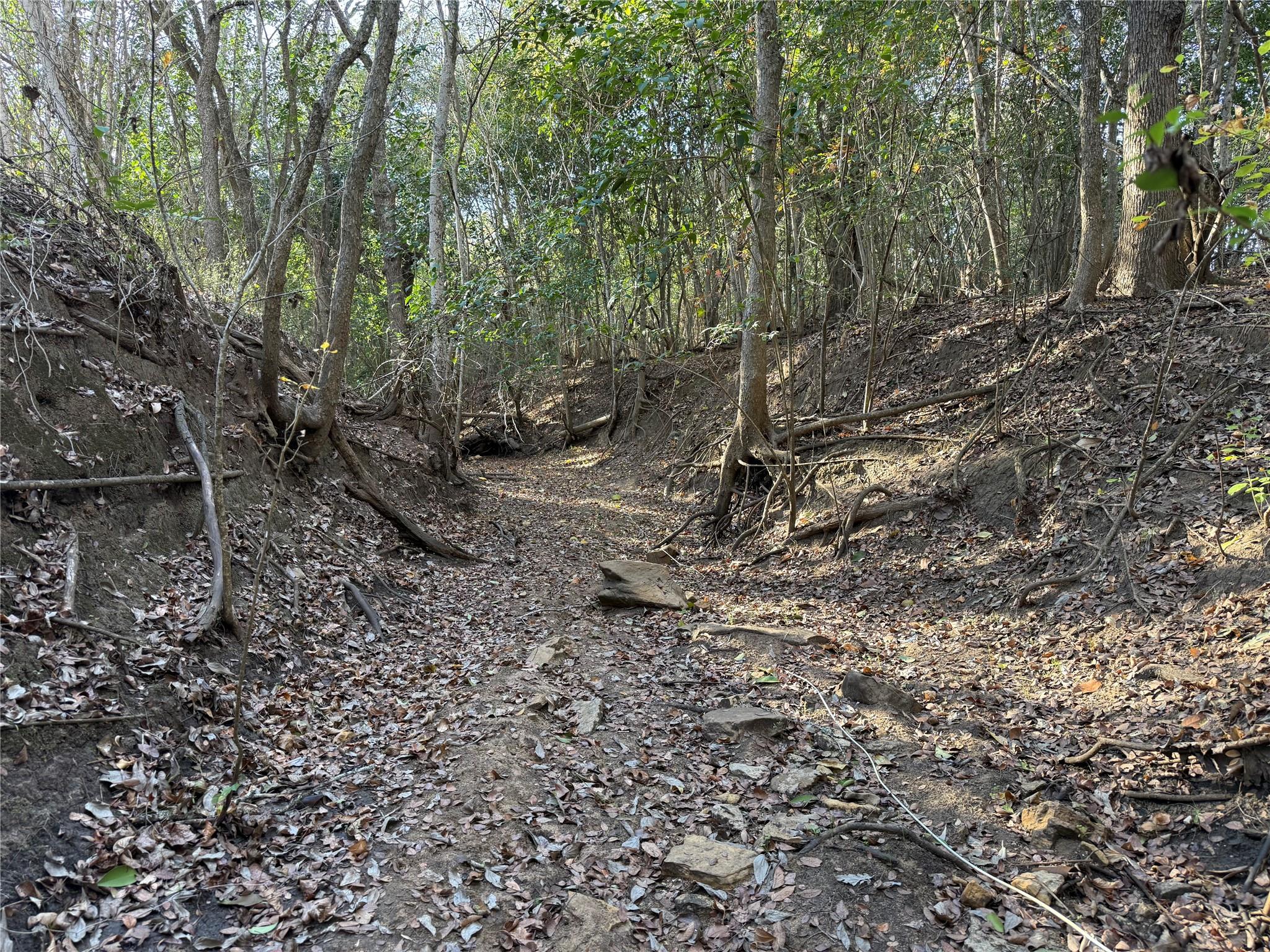 0 Country Club Dr, Seguin, TX 78155