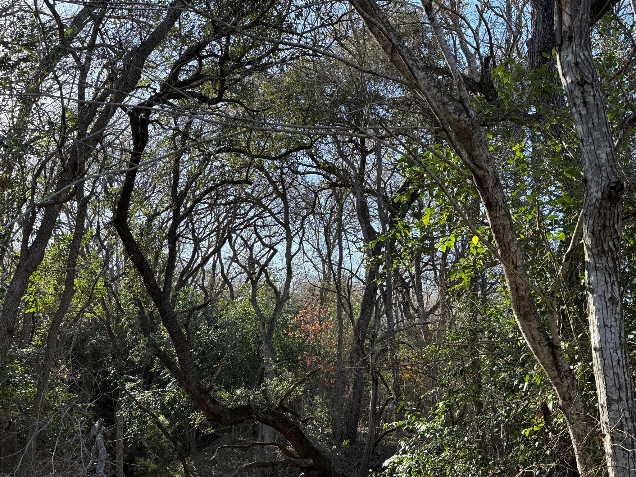 0 Country Club Dr, Seguin, TX 78155