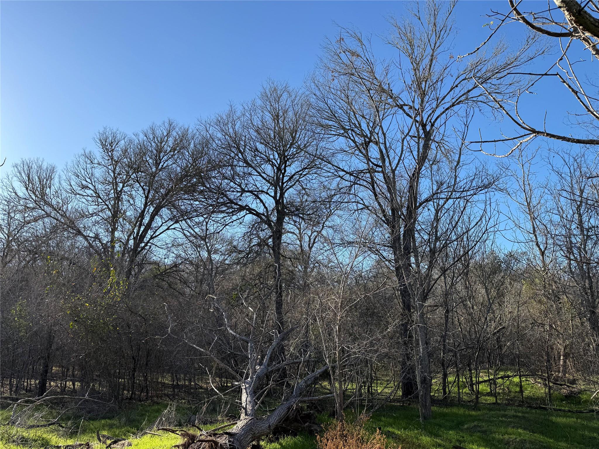 0 Country Club Dr, Seguin, TX 78155