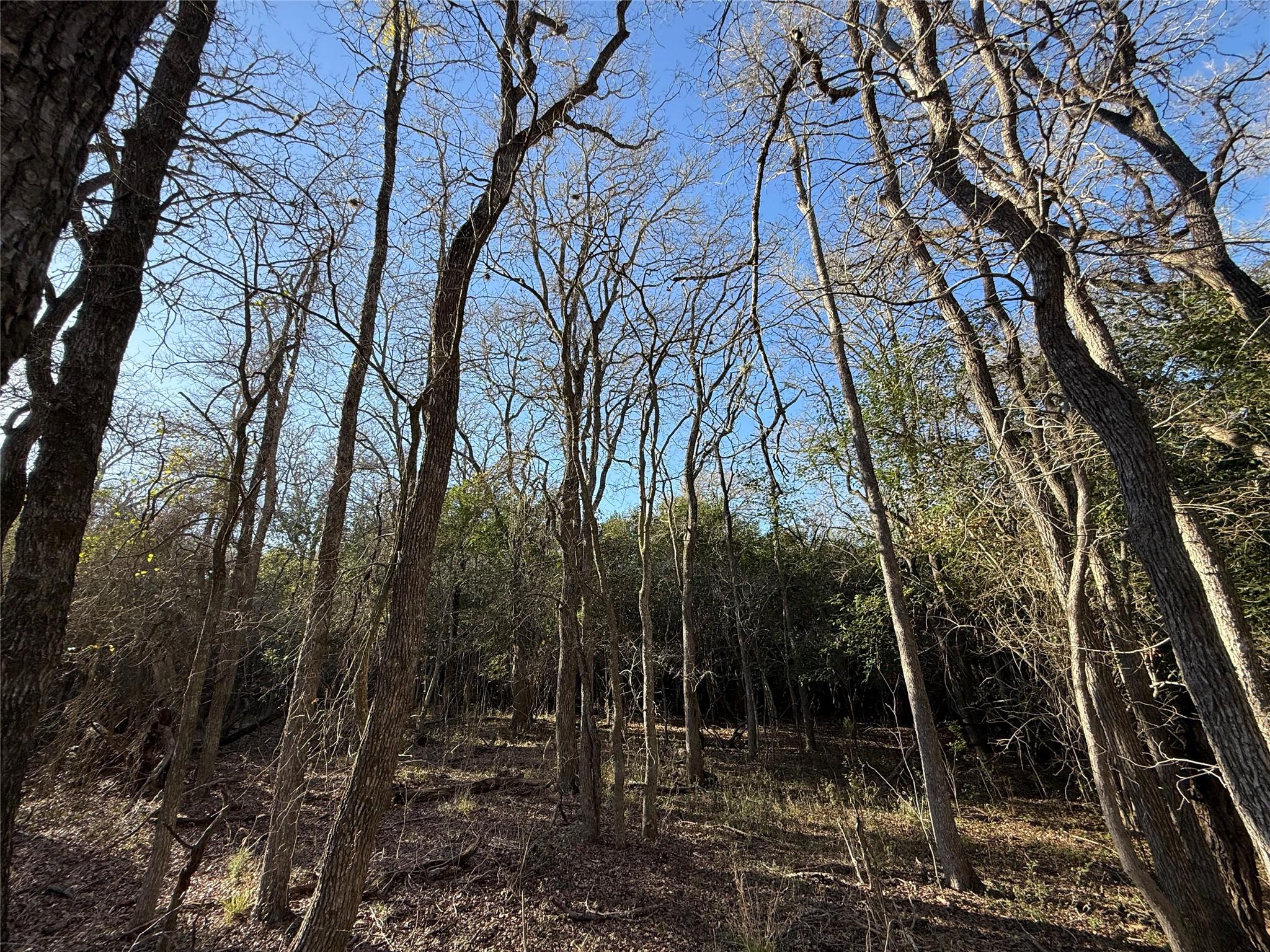 0 Country Club Dr, Seguin, TX 78155