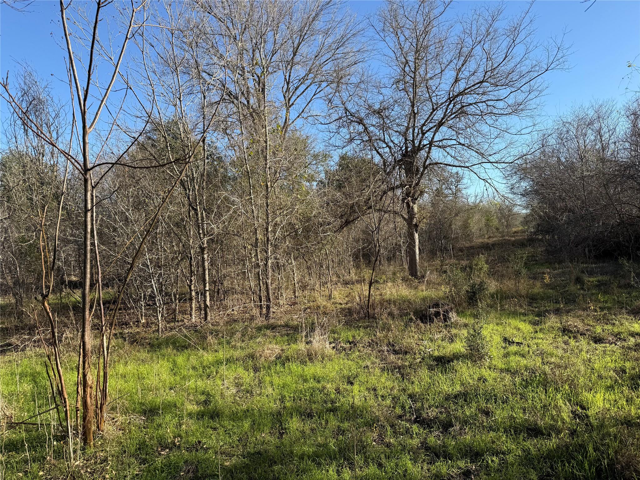 0 Country Club Dr, Seguin, TX 78155