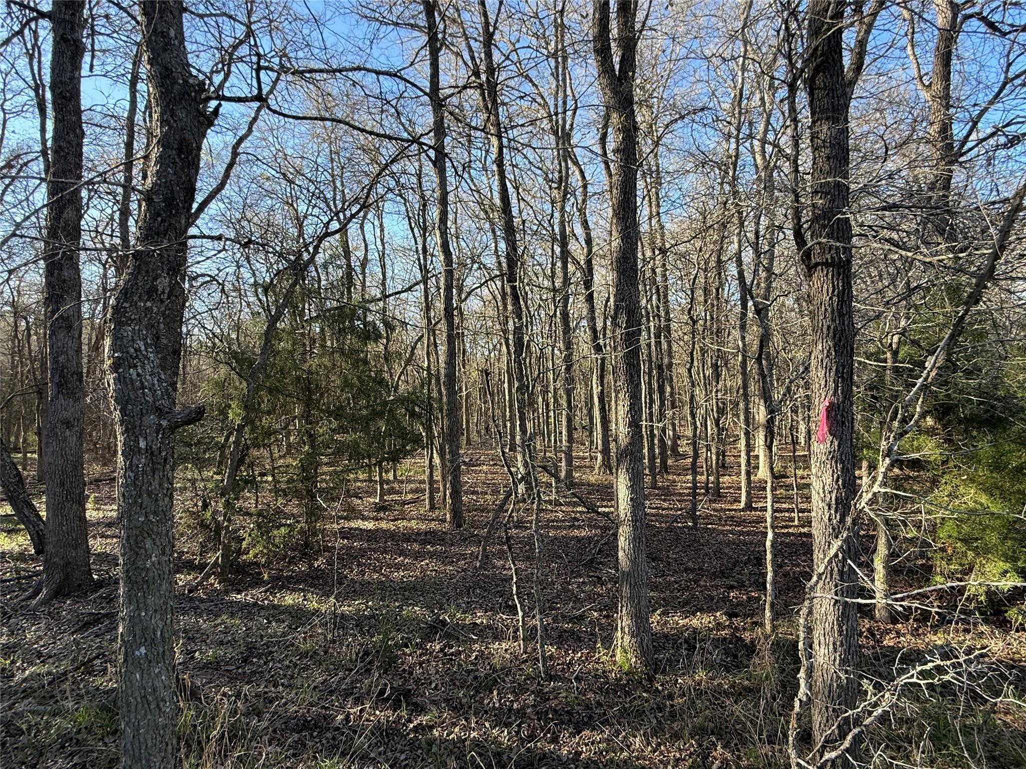 0 Country Club Dr, Seguin, TX 78155