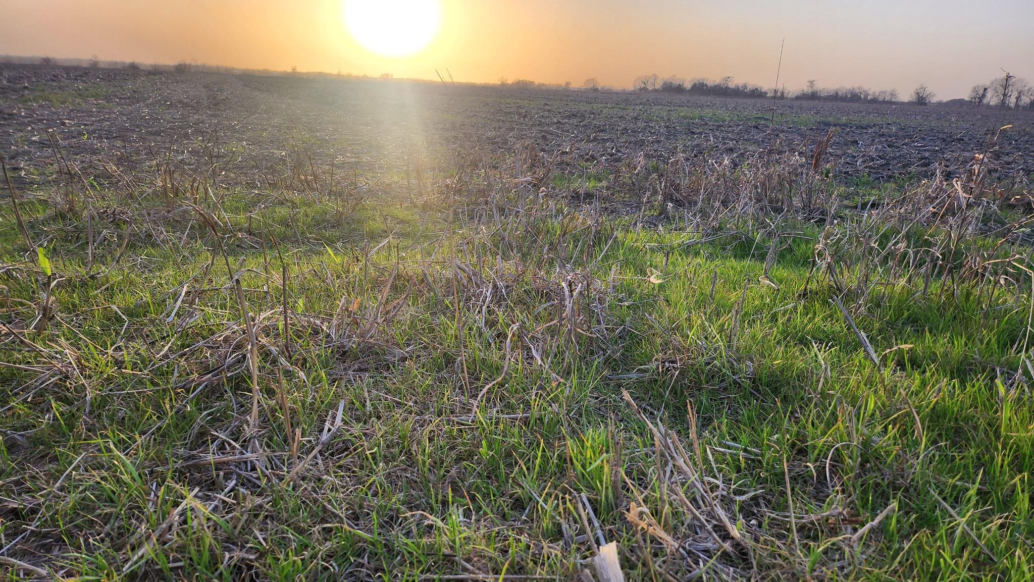 TBD FM 3061, Thorndale, TX 76577