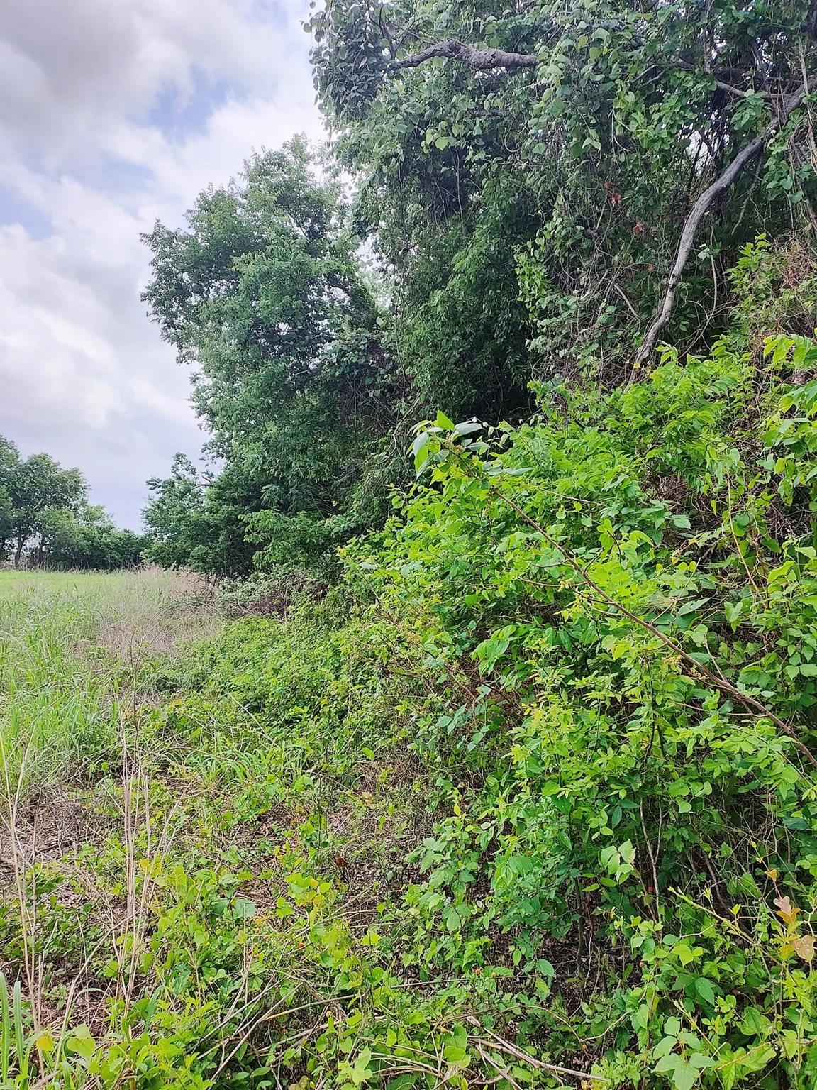 TBD FM 3061, Thorndale, TX 76577