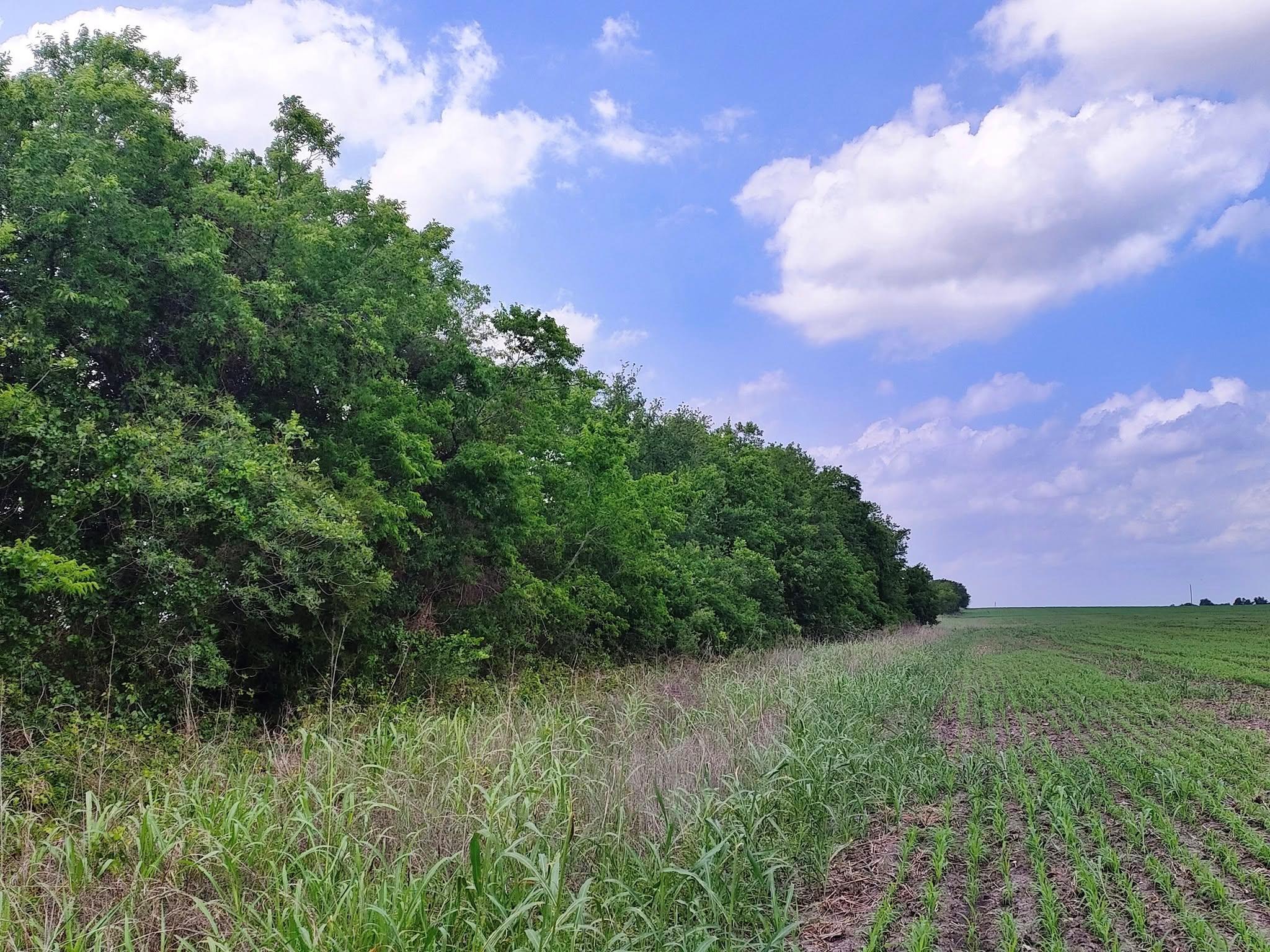 TBD FM 3061, Thorndale, TX 76577