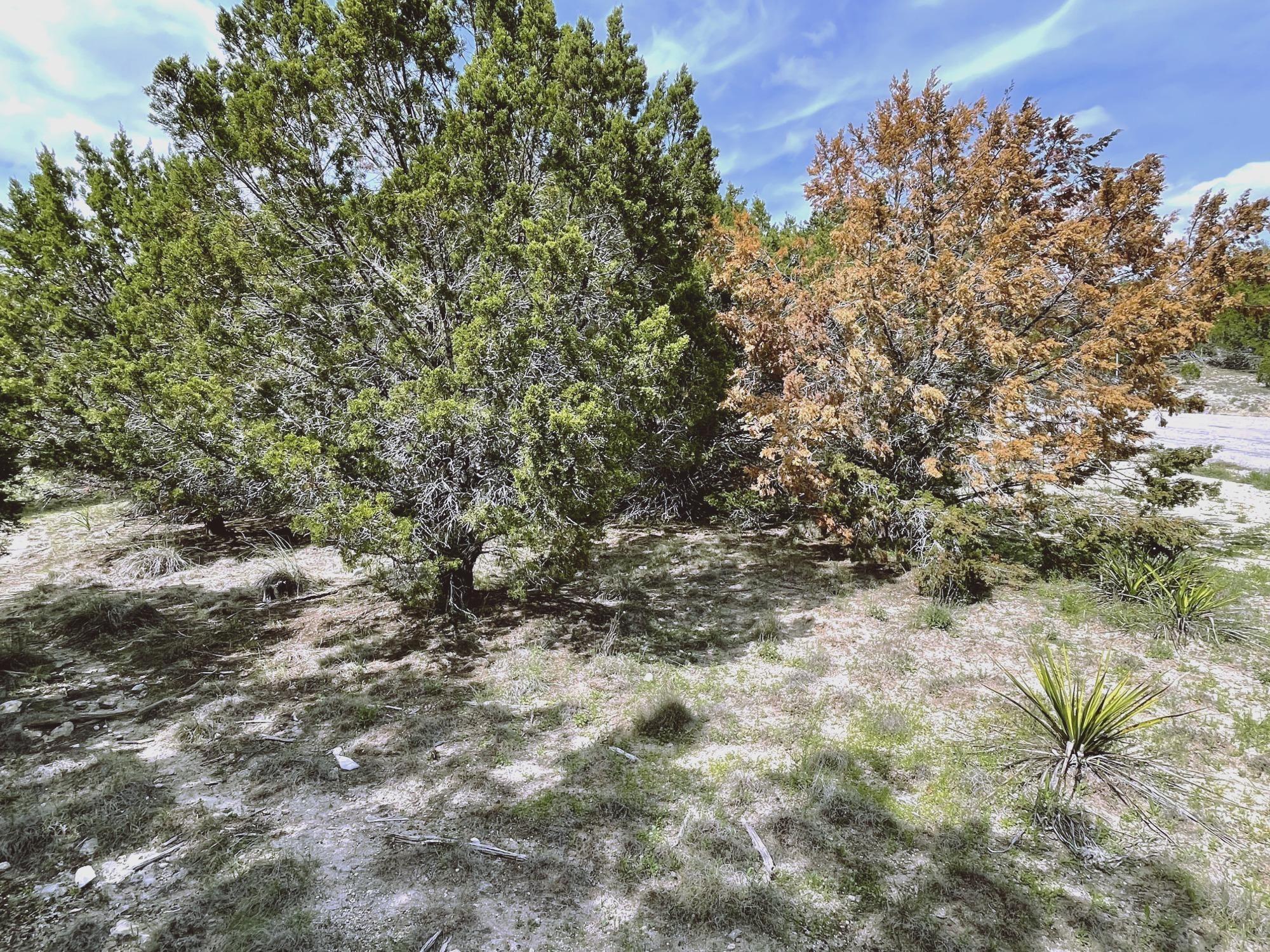 3600 Congress Ave, Lago Vista, TX 78645