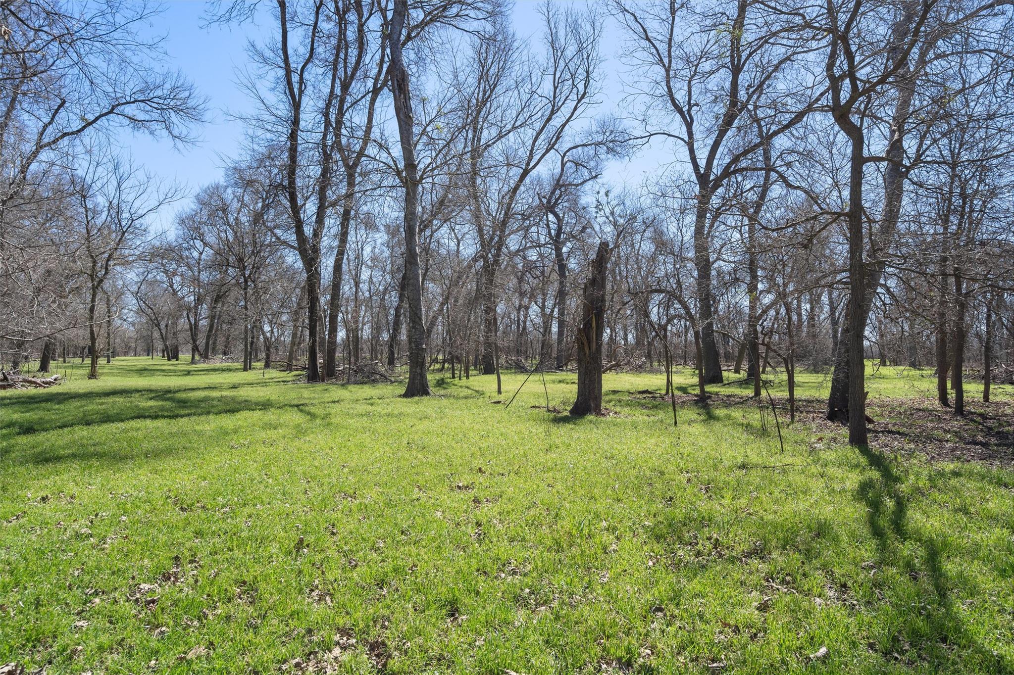 TBD CR 421, Thorndale, TX 76577