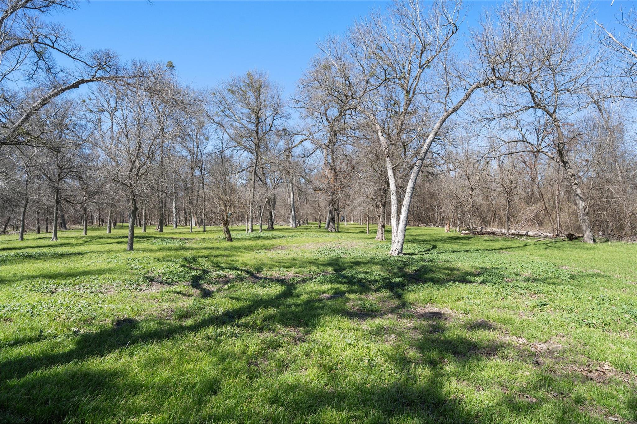 TBD CR 421, Thorndale, TX 76577