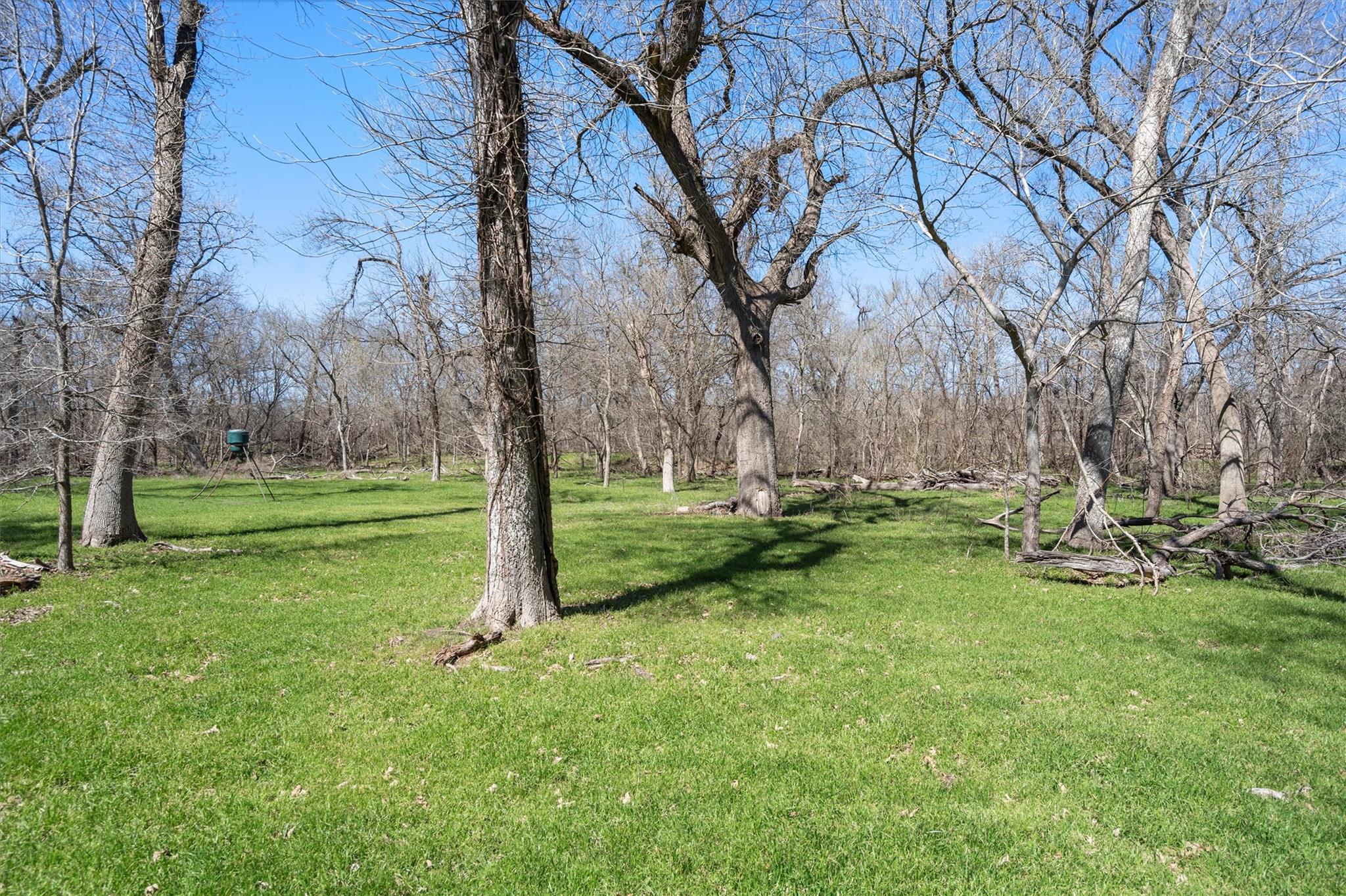 TBD CR 421, Thorndale, TX 76577