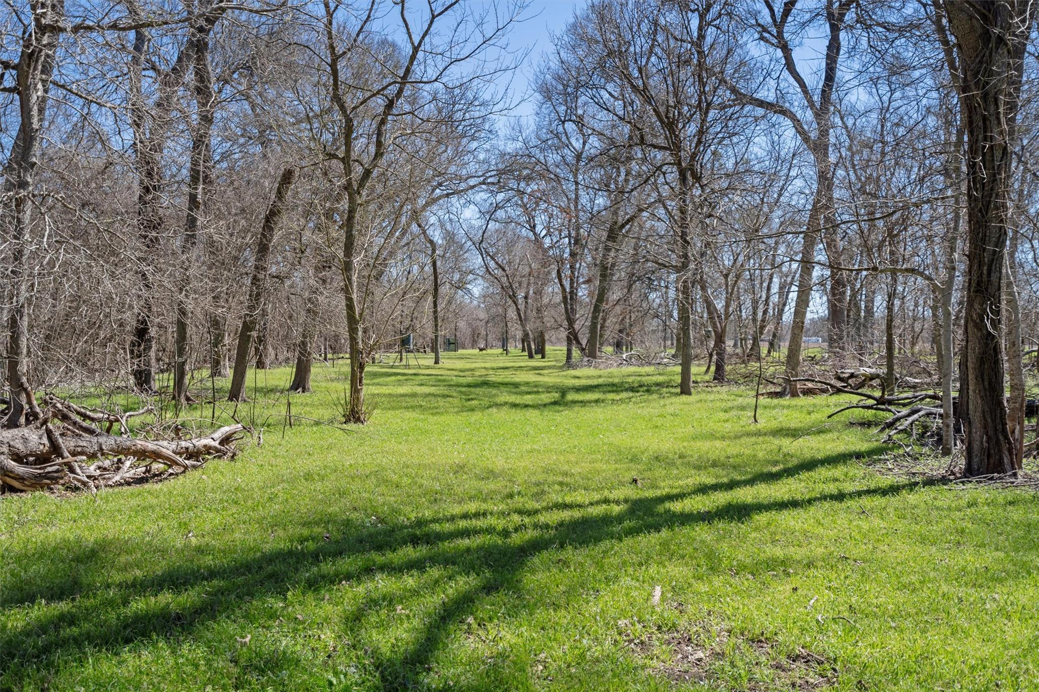 TBD CR 421, Thorndale, TX 76577