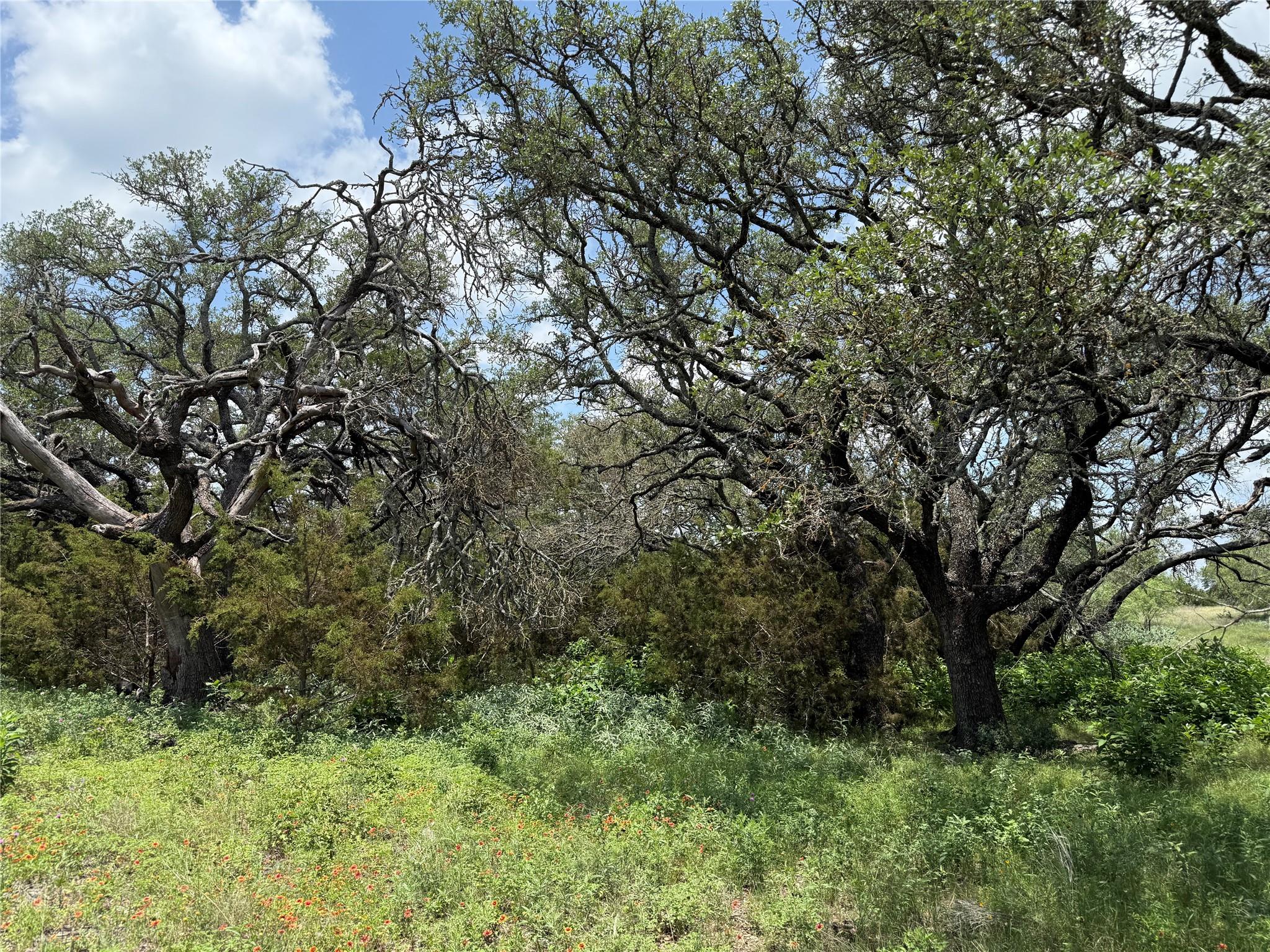 70 Mourning Dove Ln, Lampasas, TX 76550