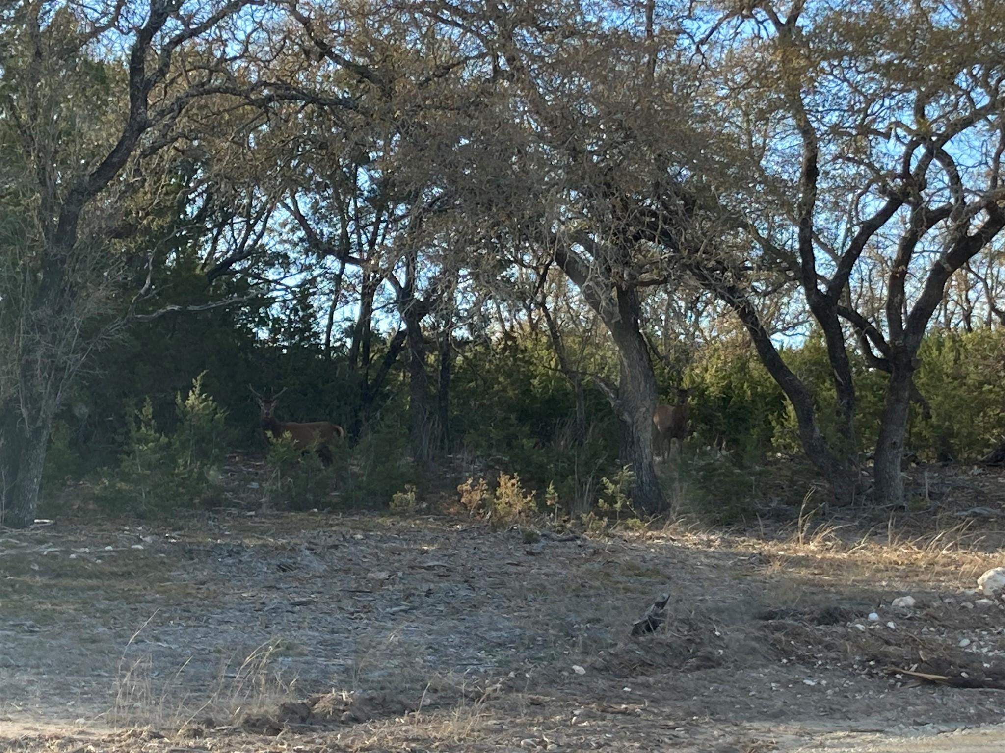 70 Mourning Dove Ln, Lampasas, TX 76550