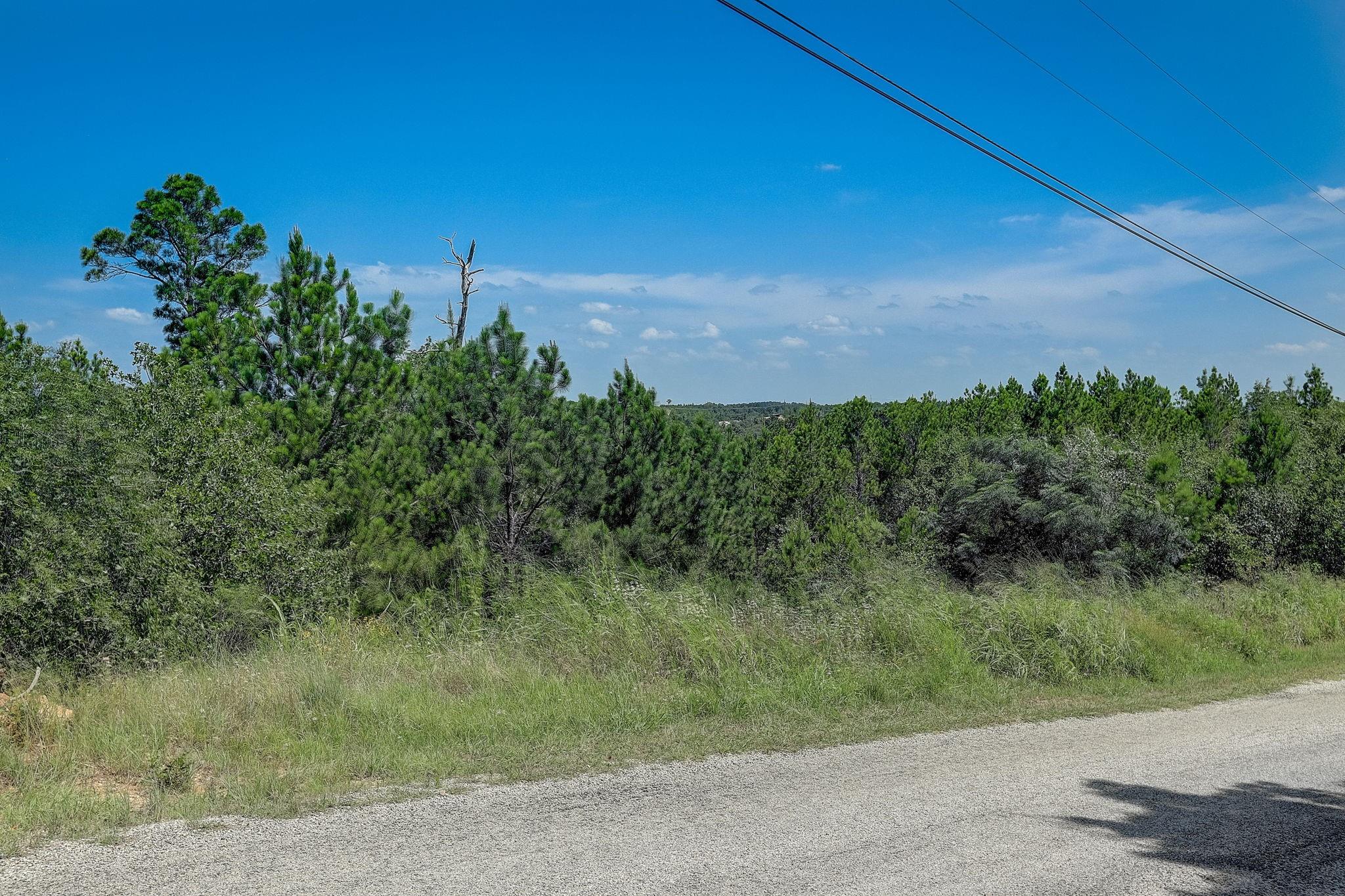 Lot 20 Tall Forest Dr, Bastrop, TX 78602