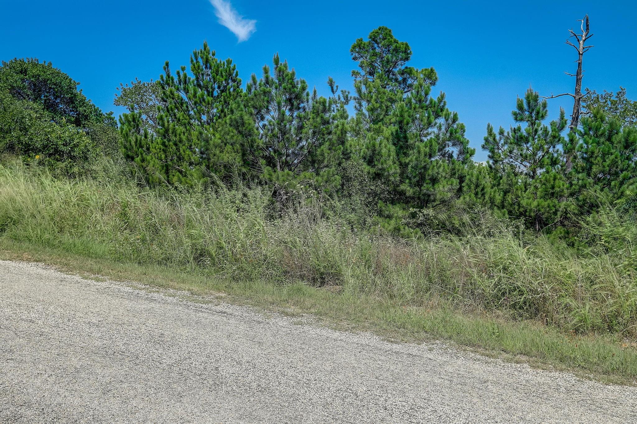 Lot 20 Tall Forest Dr, Bastrop, TX 78602