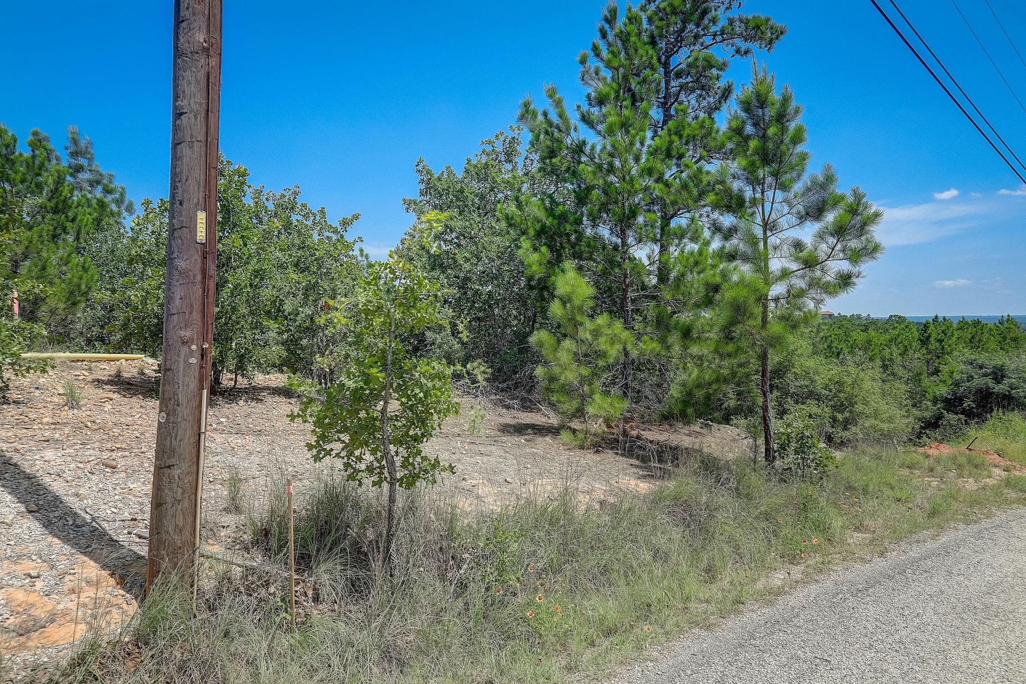 Lot 20 Tall Forest Dr, Bastrop, TX 78602